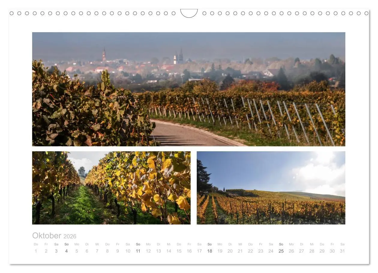 Bild: 9783516154801 | Die nördliche Ortenau (Wandkalender 2026 DIN A3 quer), CALVENDO...
