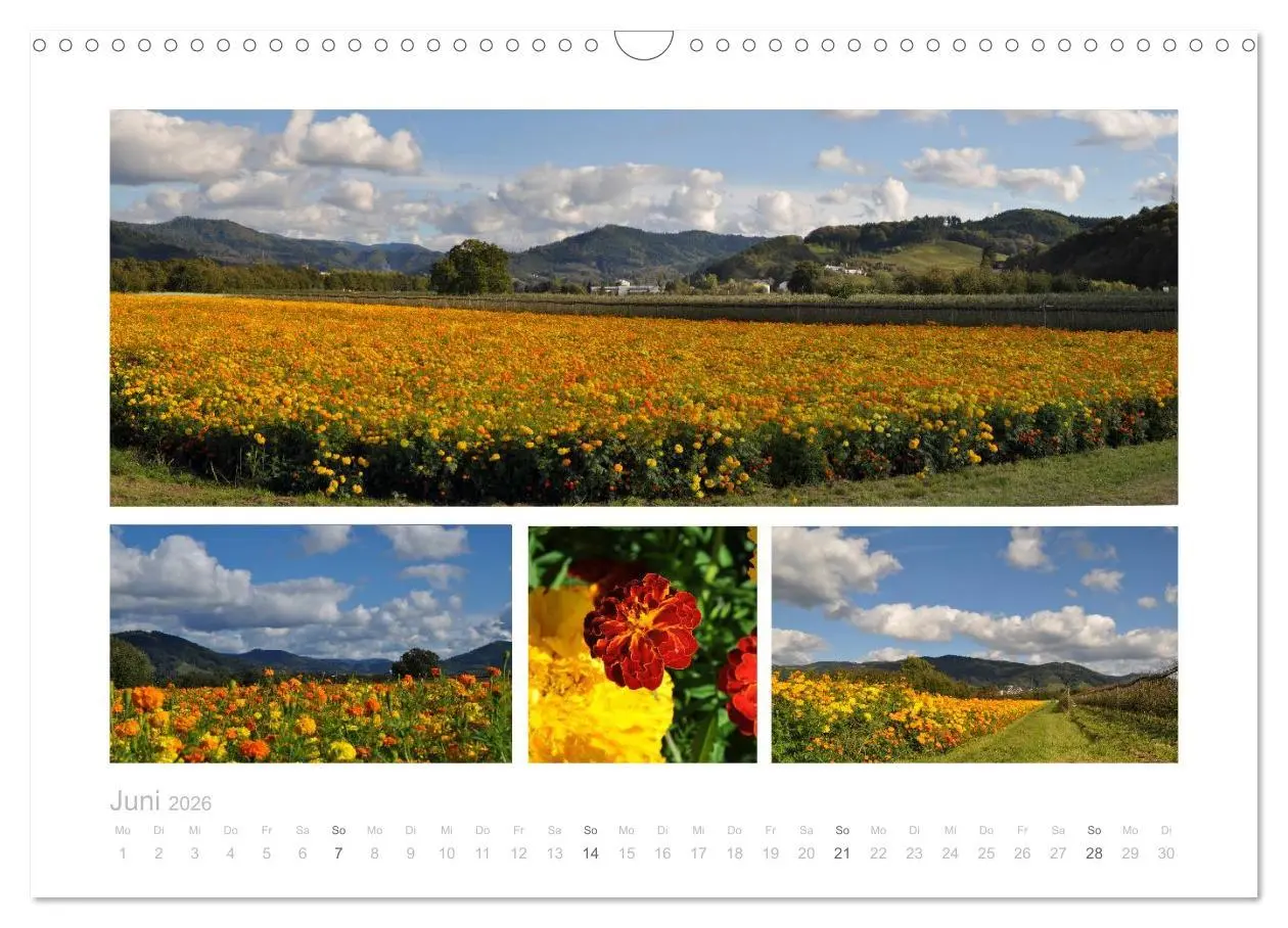 Bild: 9783516154801 | Die nördliche Ortenau (Wandkalender 2026 DIN A3 quer), CALVENDO...