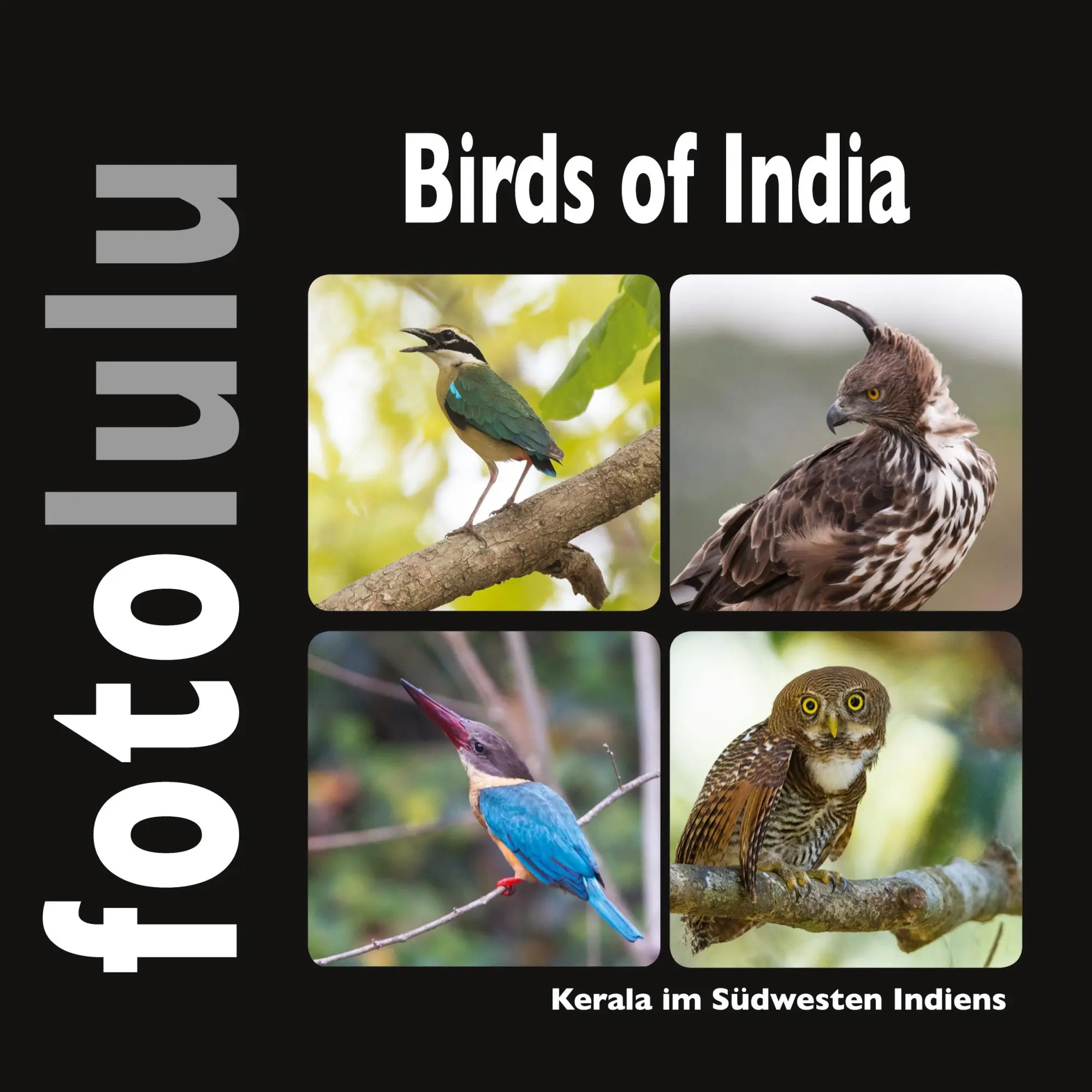 Cover: 9783746074801 | Birds of India | Kerala im Südwesten Indiens | Sr. Fotolulu | Buch