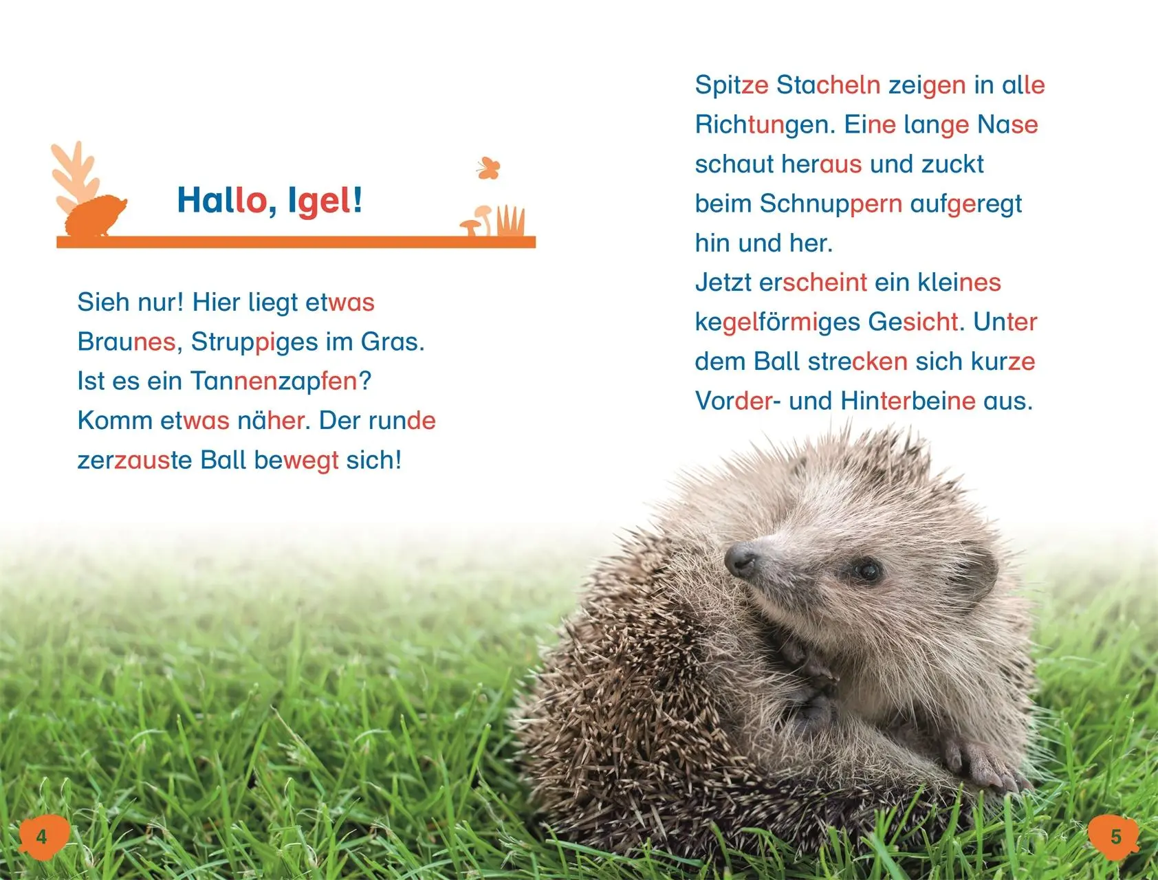 Bild: 9783831044801 | SUPERLESER! Hallo, Igel! | Laura Buller | Buch | SUPERLESER! | 48 S.