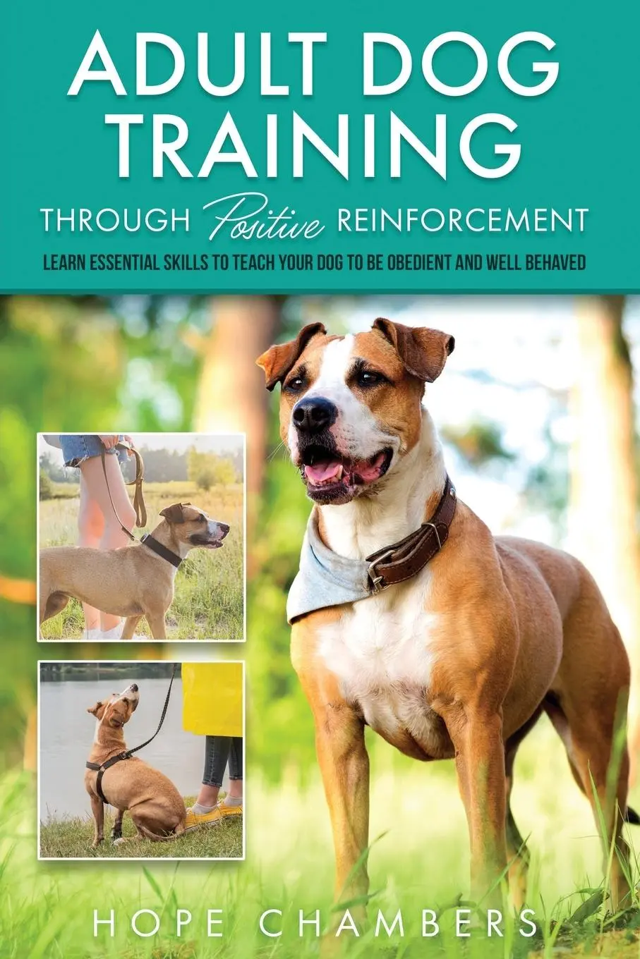 Cover: 9798987684801 | Adult Dog Training Through Positive Reinforcement | Hope Champers