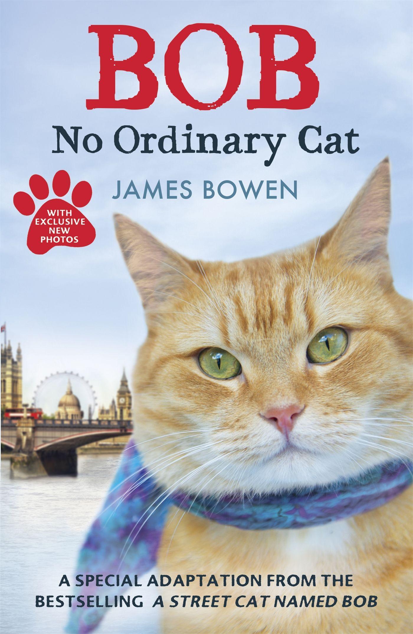 Bob - No Ordinary Cat | James Bowen | Taschenbuch | 298 S. | Englisch | 2013 | Hodder And Stoughton Ltd. | EAN 9781444764901 - Bowen, James