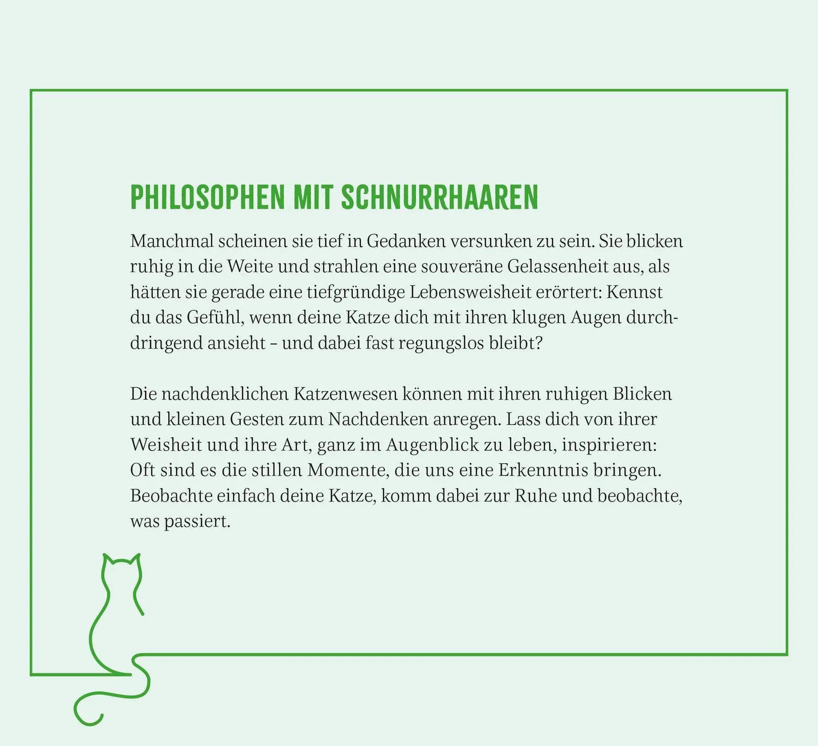Bild: 4036442015001 | Wochenkalender 2027: Kluge Katzen | Groh Verlag | Kalender | 108 S.
