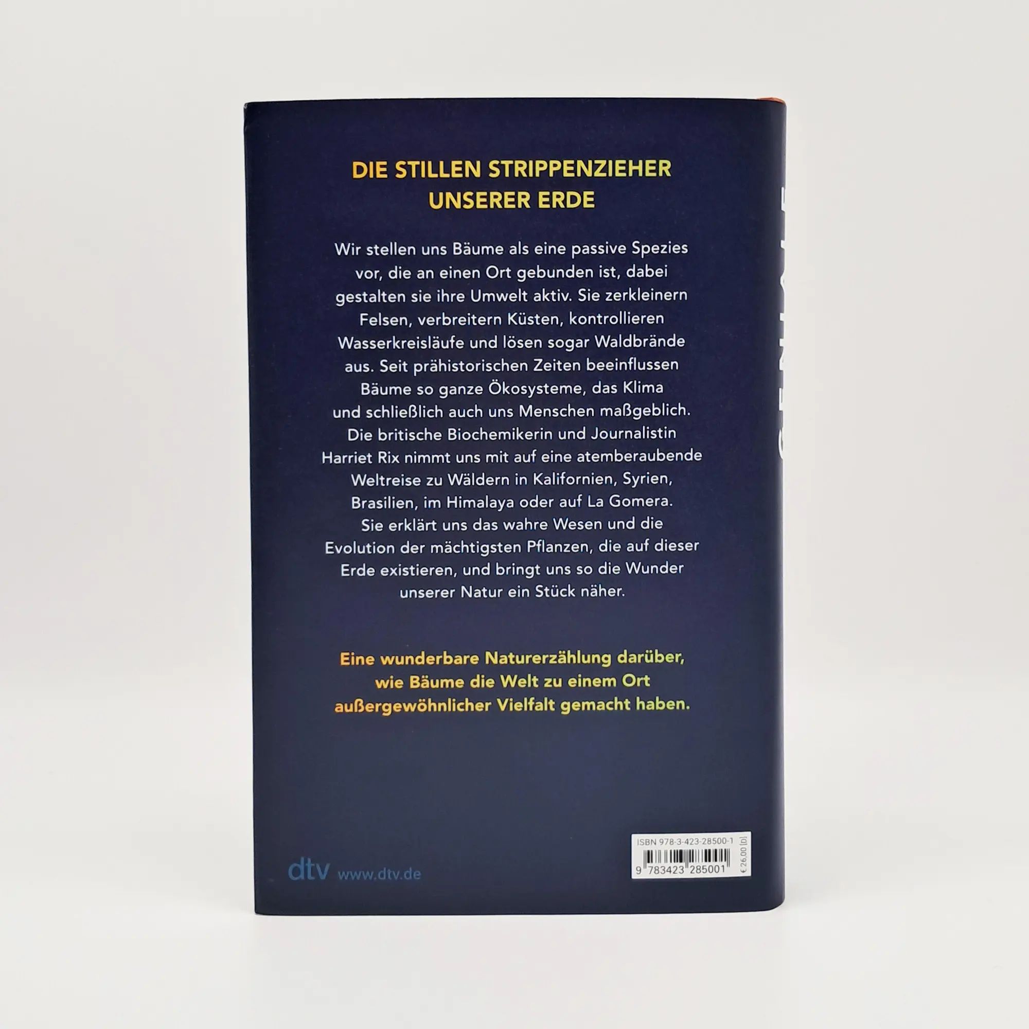 Bild: 9783423285001 | Geniale Bäume | Harriet Rix | Buch | 368 S. | Deutsch | 2025