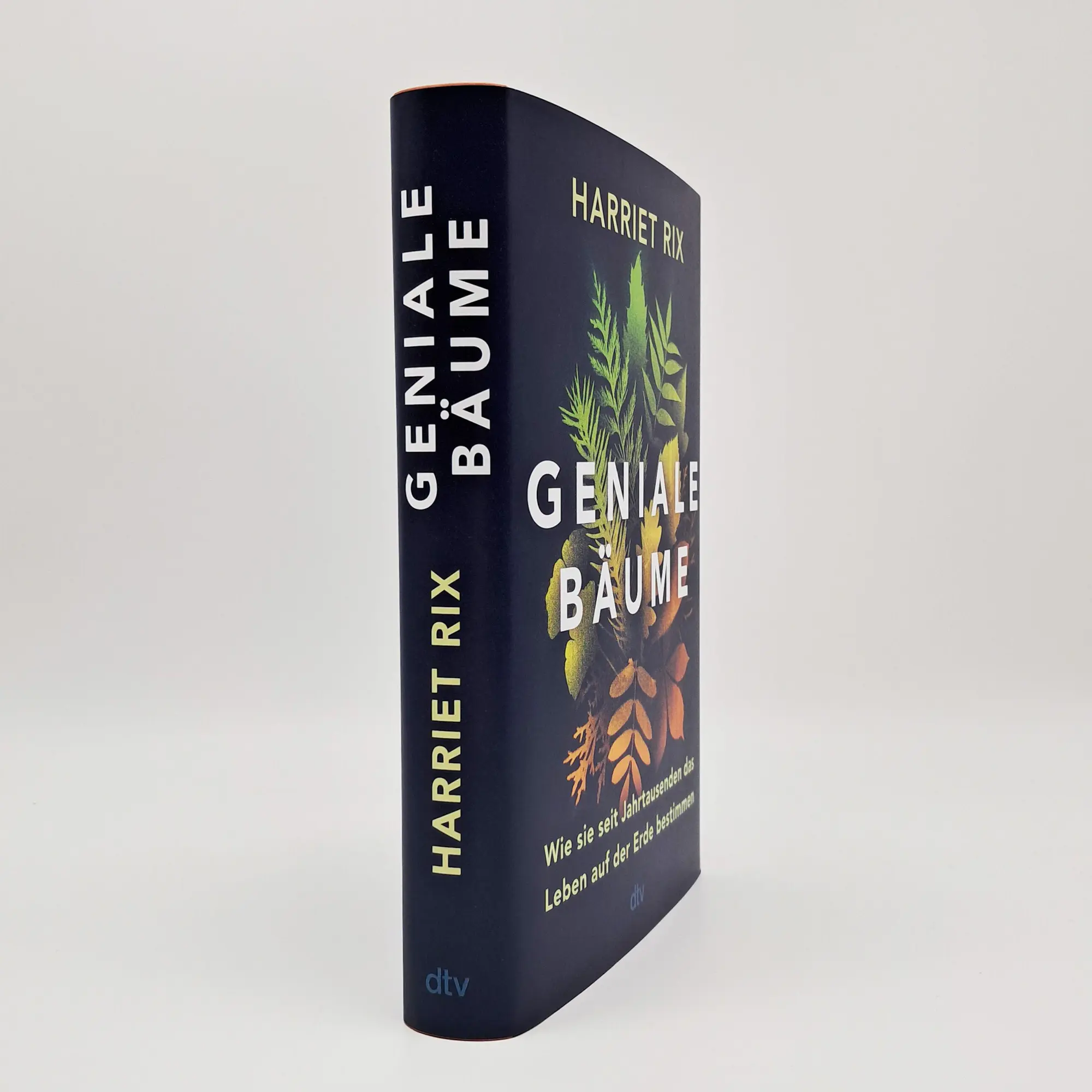 Bild: 9783423285001 | Geniale Bäume | Harriet Rix | Buch | 368 S. | Deutsch | 2025