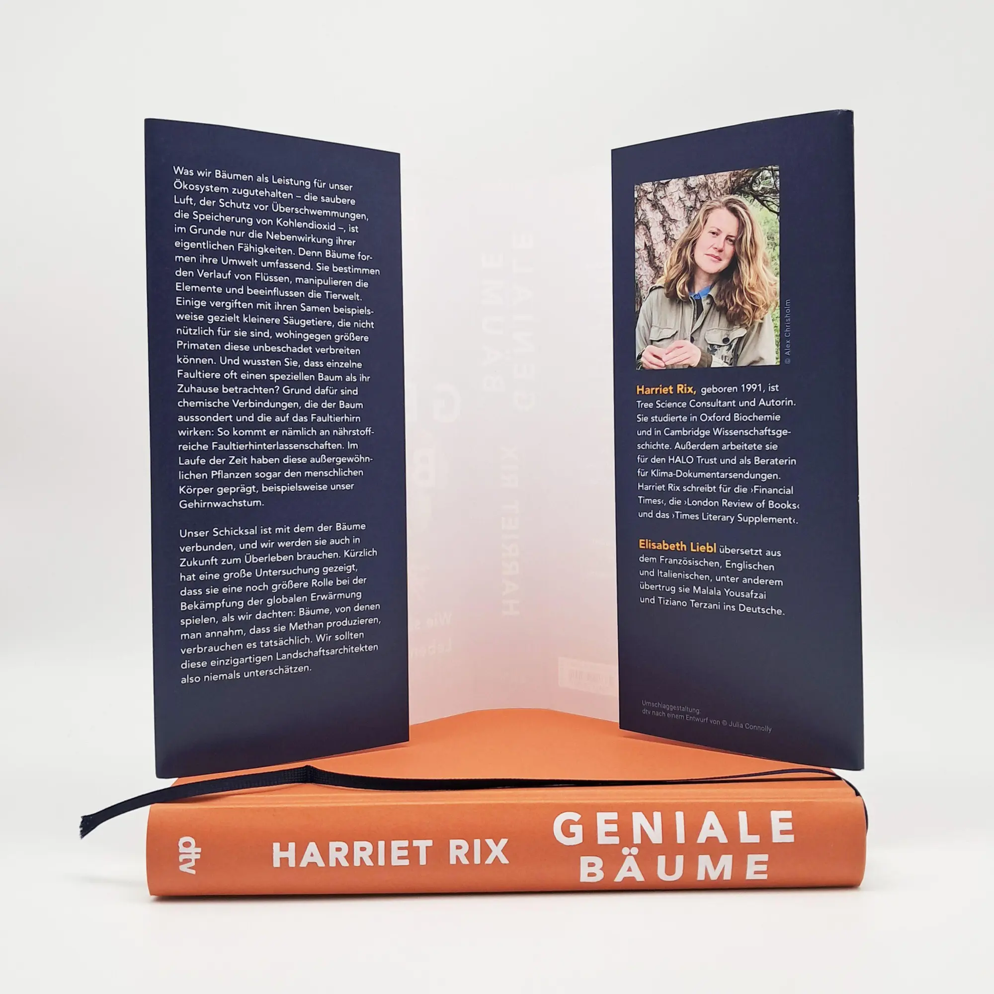 Bild: 9783423285001 | Geniale Bäume | Harriet Rix | Buch | 368 S. | Deutsch | 2025