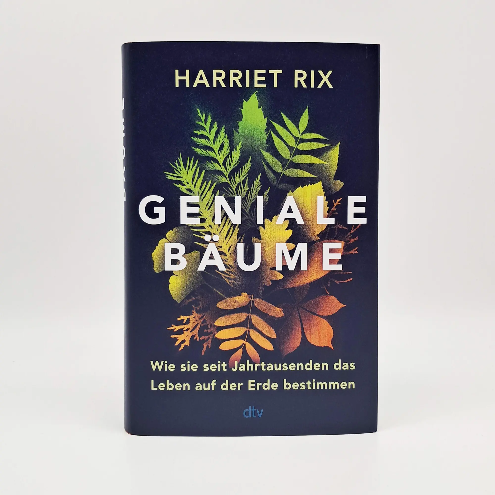 Bild: 9783423285001 | Geniale Bäume | Harriet Rix | Buch | 368 S. | Deutsch | 2025