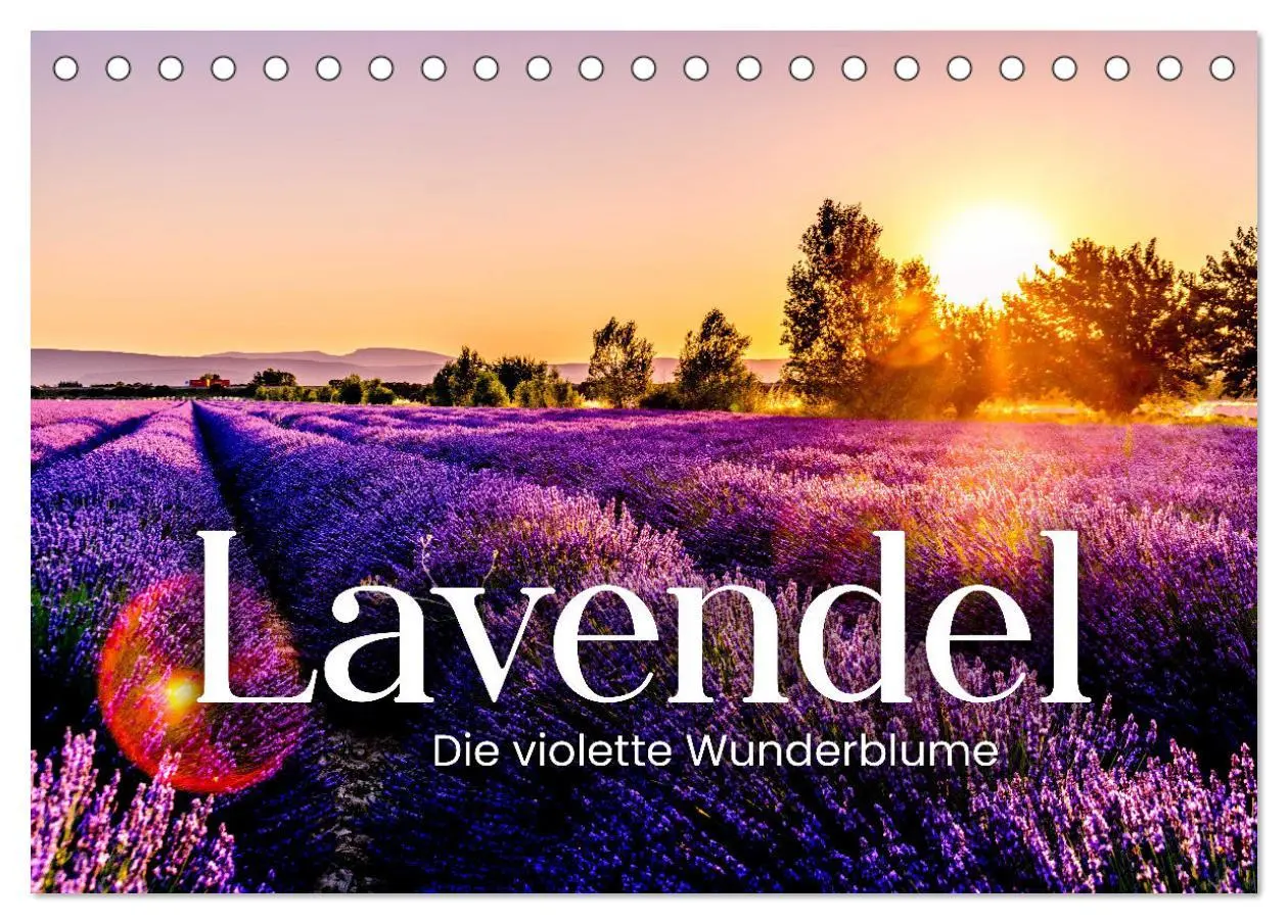 Cover: 9783457565001 | Lavendel - Die violette Wunderblume (Tischkalender 2026 DIN A5...
