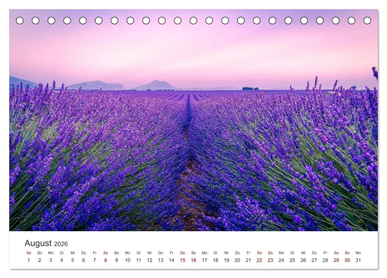 Bild: 9783457565001 | Lavendel - Die violette Wunderblume (Tischkalender 2026 DIN A5...