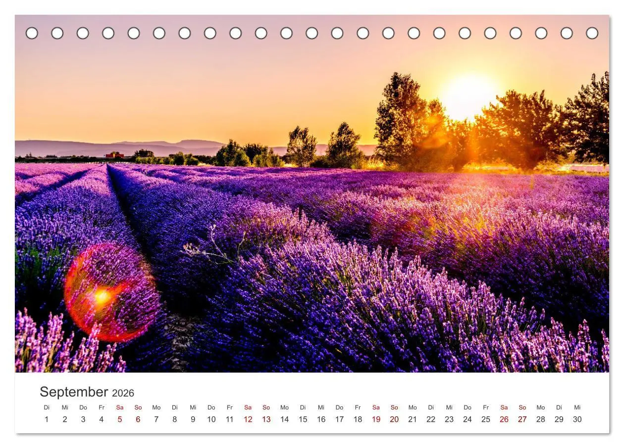 Bild: 9783457565001 | Lavendel - Die violette Wunderblume (Tischkalender 2026 DIN A5...