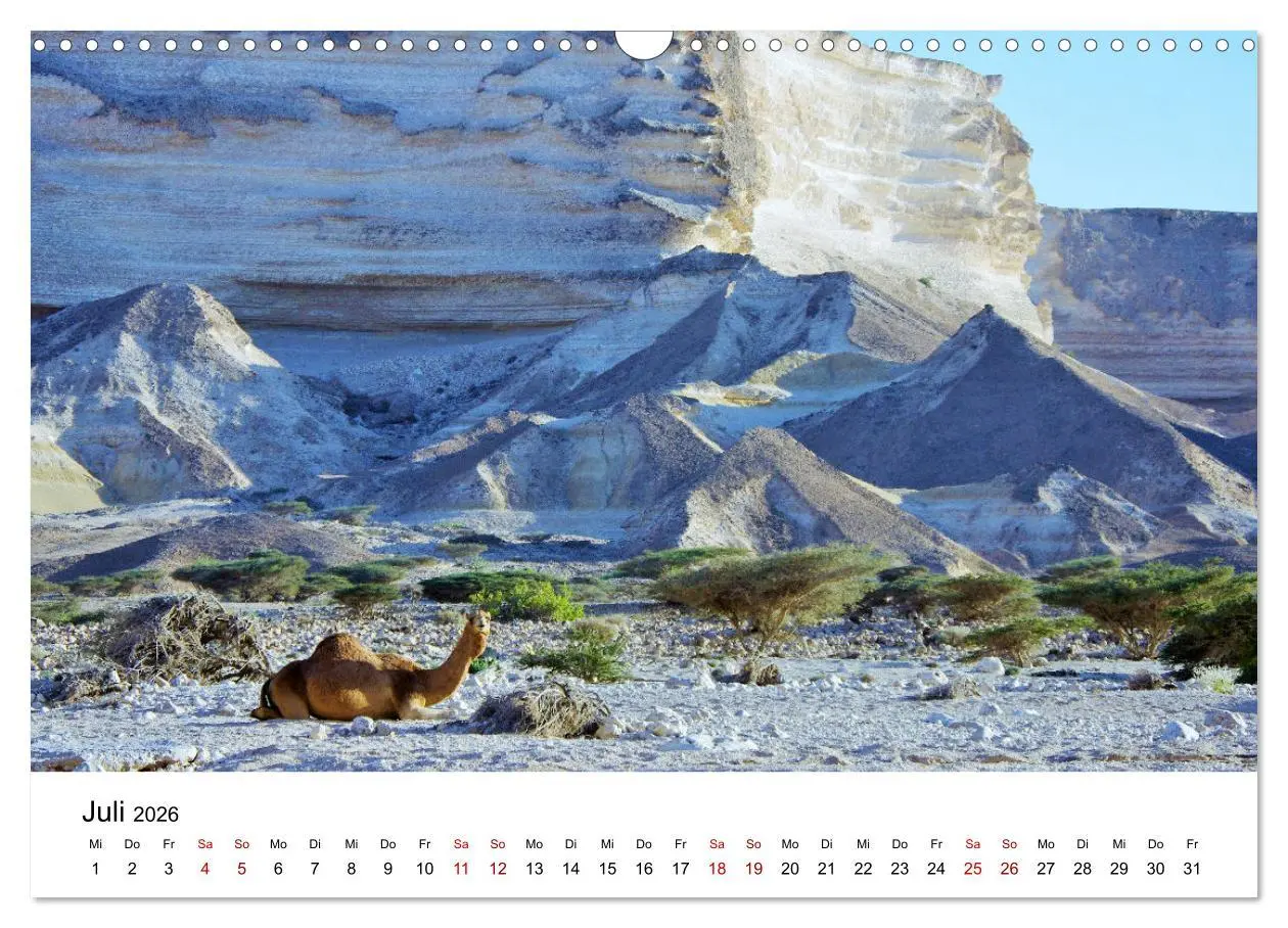 Bild: 9783457635001 | KAMELE... eine Reise durch den Oman. (Wandkalender 2026 DIN A3...