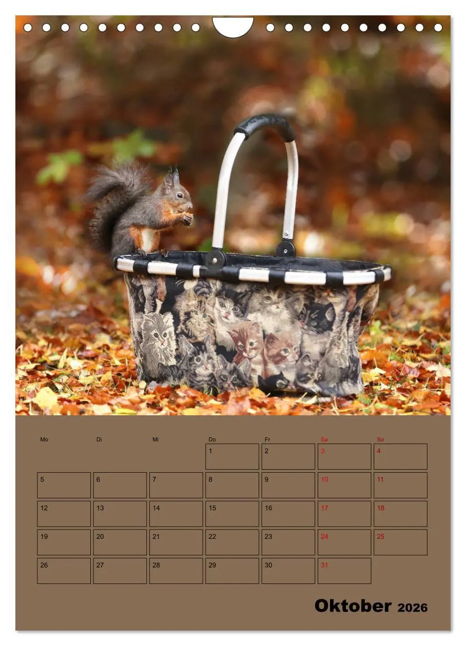 Bild: 9783516415001 | Eichhörnchen - Planer (Wandkalender 2026 DIN A4 hoch), CALVENDO...