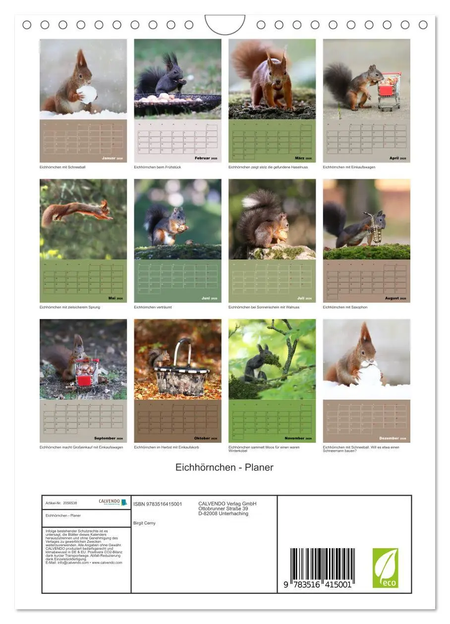 Bild: 9783516415001 | Eichhörnchen - Planer (Wandkalender 2026 DIN A4 hoch), CALVENDO...