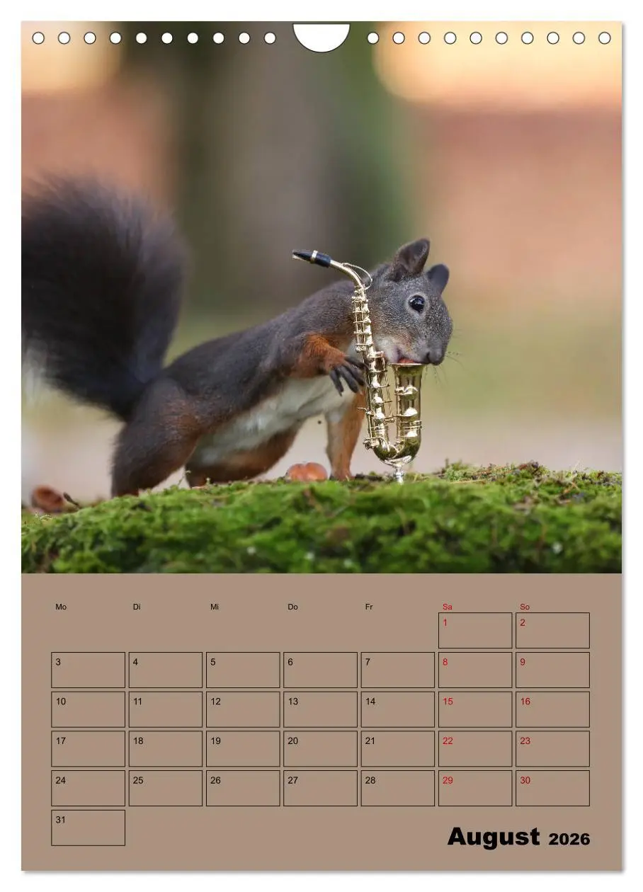 Bild: 9783516415001 | Eichhörnchen - Planer (Wandkalender 2026 DIN A4 hoch), CALVENDO...