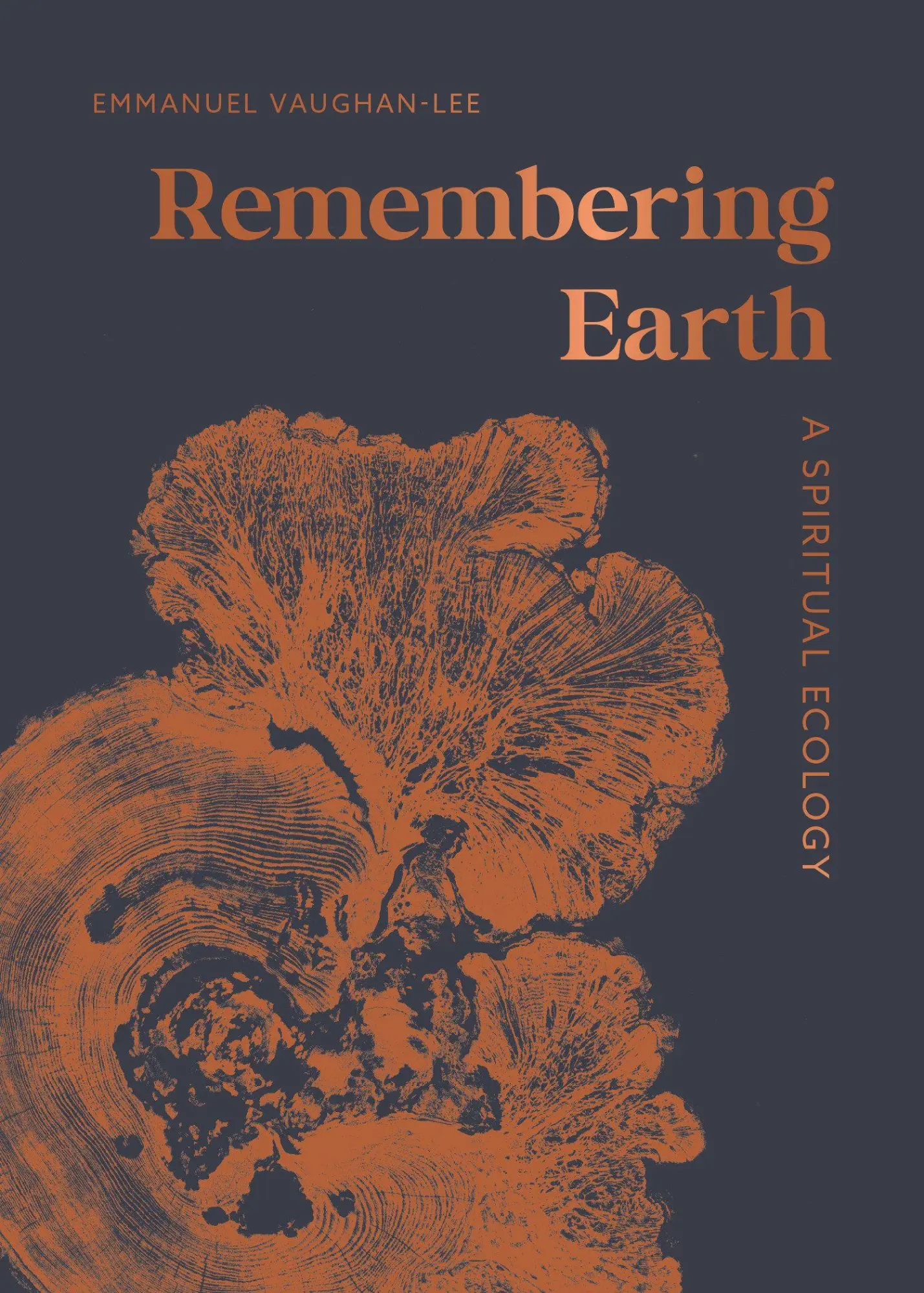 Cover: 9781645475101 | Remembering Earth | A Spiritual Ecology | Emmanuel Vaughan-Lee | Buch