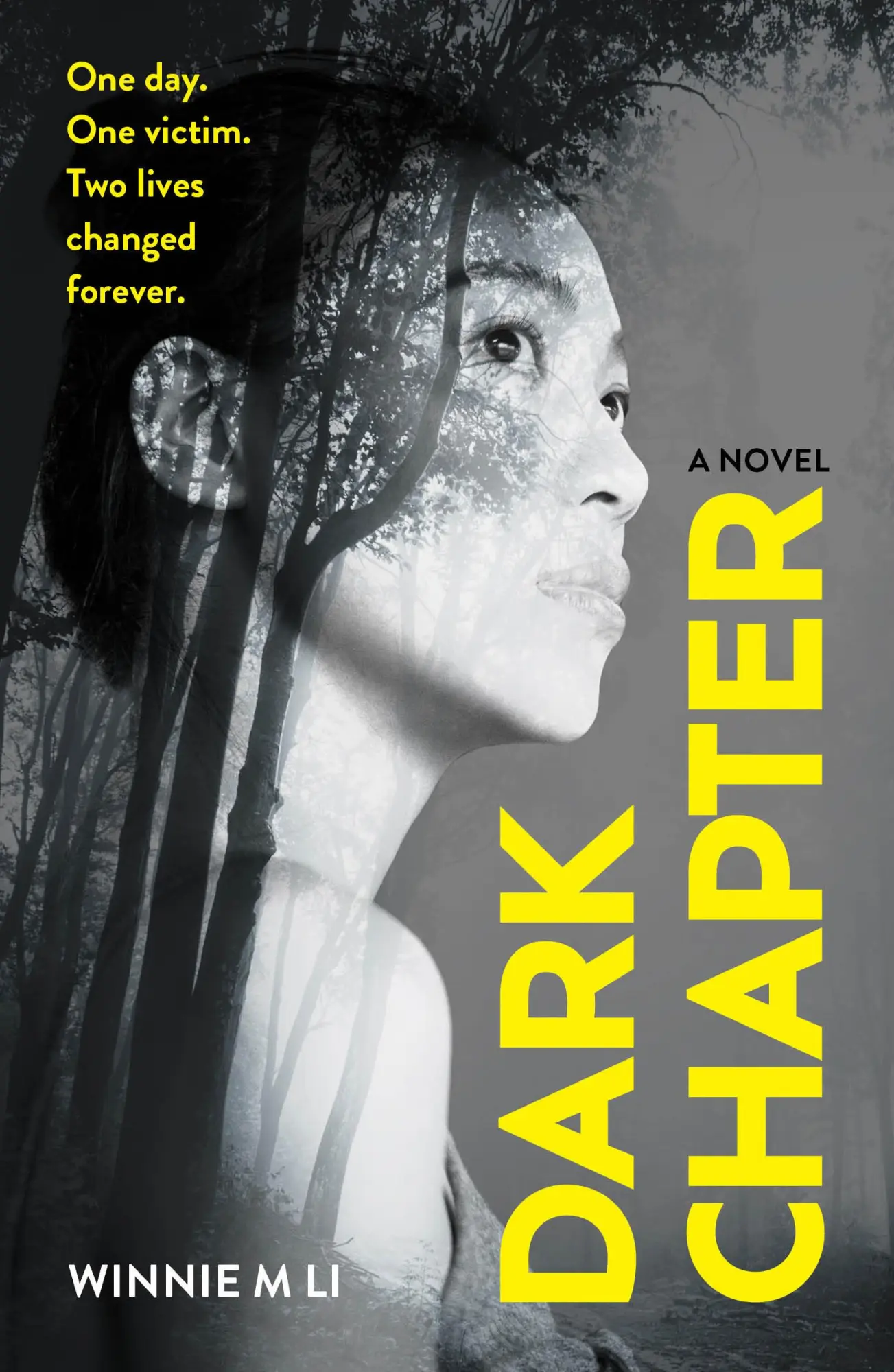 Cover: 9781917415101 | Dark Chapter | Winnie M. Li | Taschenbuch | Englisch | 2025