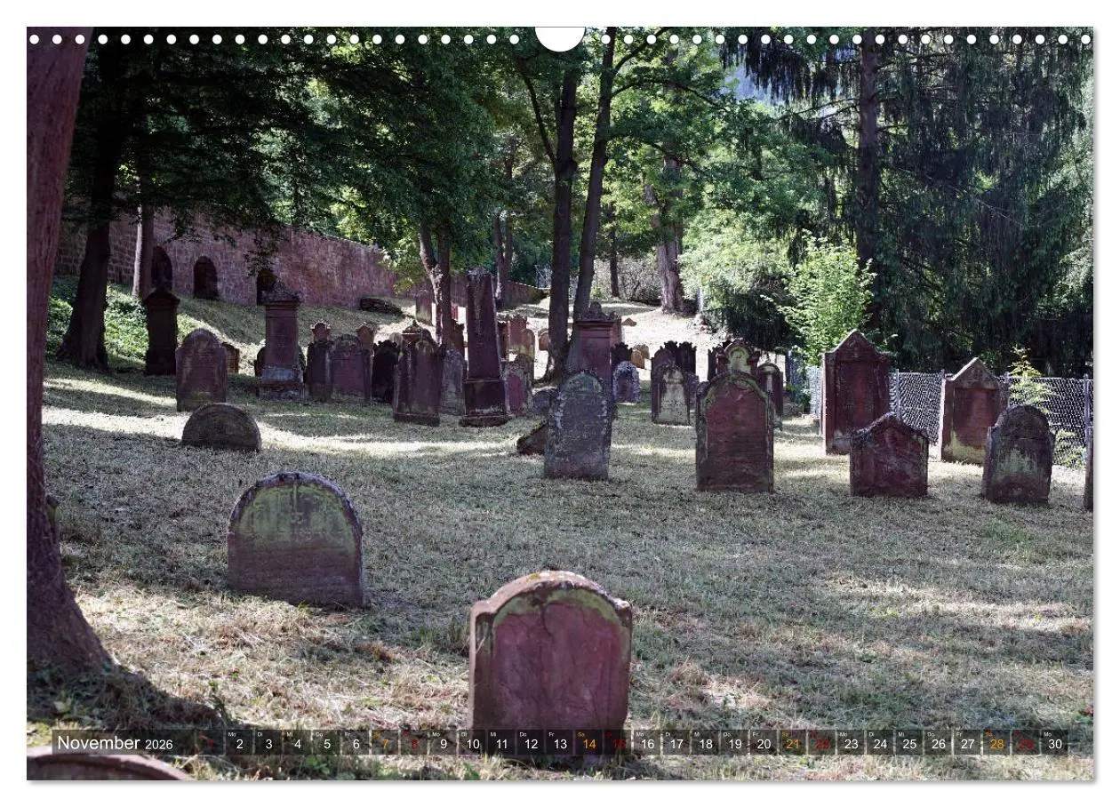 Bild: 9783457865101 | Miltenberg am Main (Wandkalender 2026 DIN A3 quer), CALVENDO...