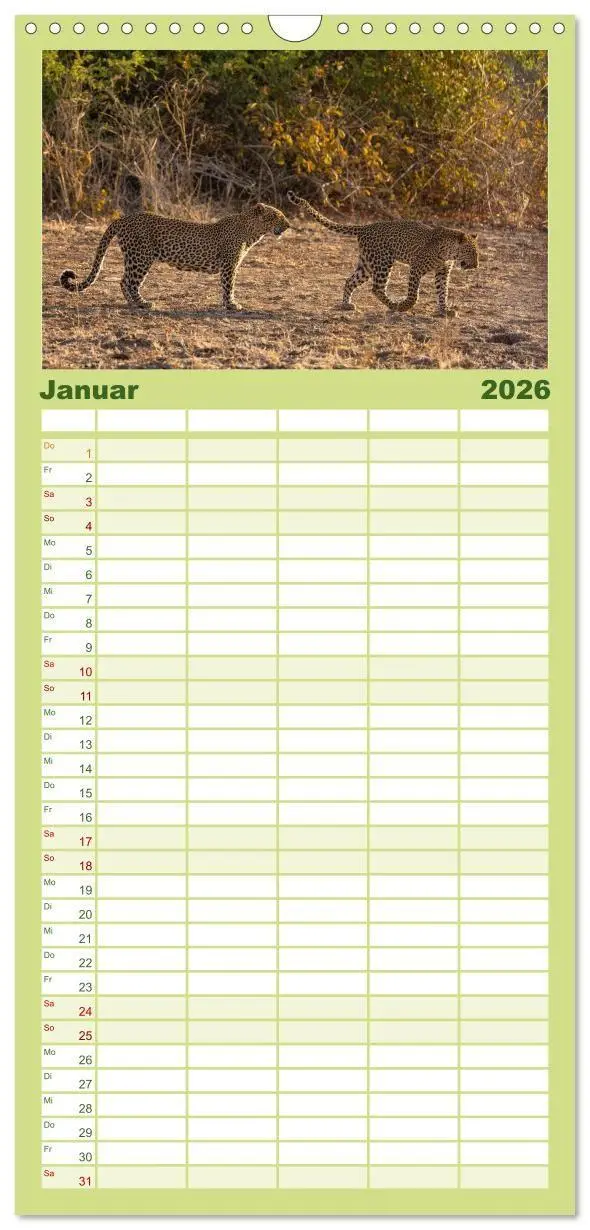 Bild: 9783516715101 | Familienplaner 2026 - Sambias großartige Tierwelt mit 5 Spalten...