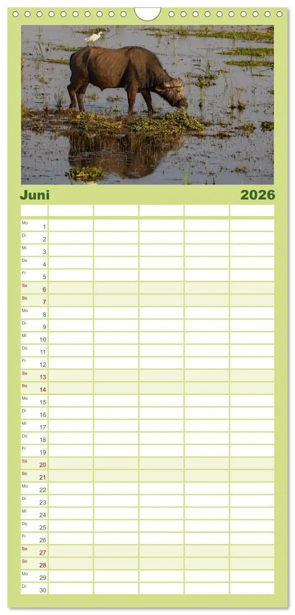 Bild: 9783516715101 | Familienplaner 2026 - Sambias großartige Tierwelt mit 5 Spalten...