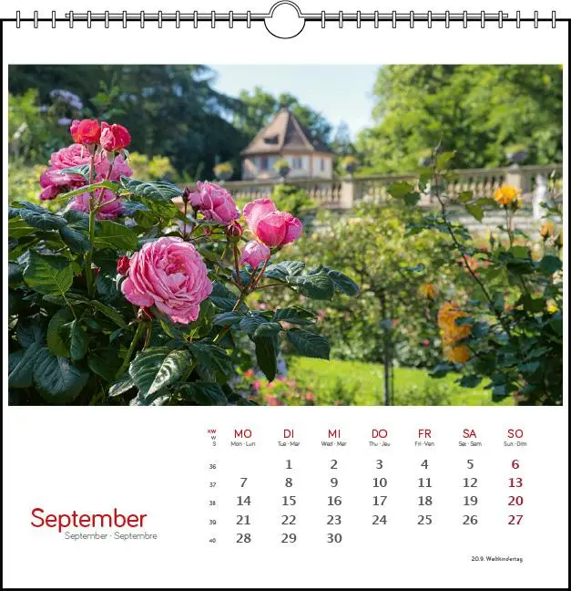 Bild: 9783861925101 | Konstanz 2026 | Postkarten-Tischkalender | verschiedene Fotografen