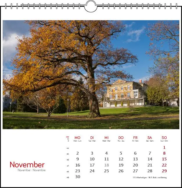 Bild: 9783861925101 | Konstanz 2026 | Postkarten-Tischkalender | verschiedene Fotografen