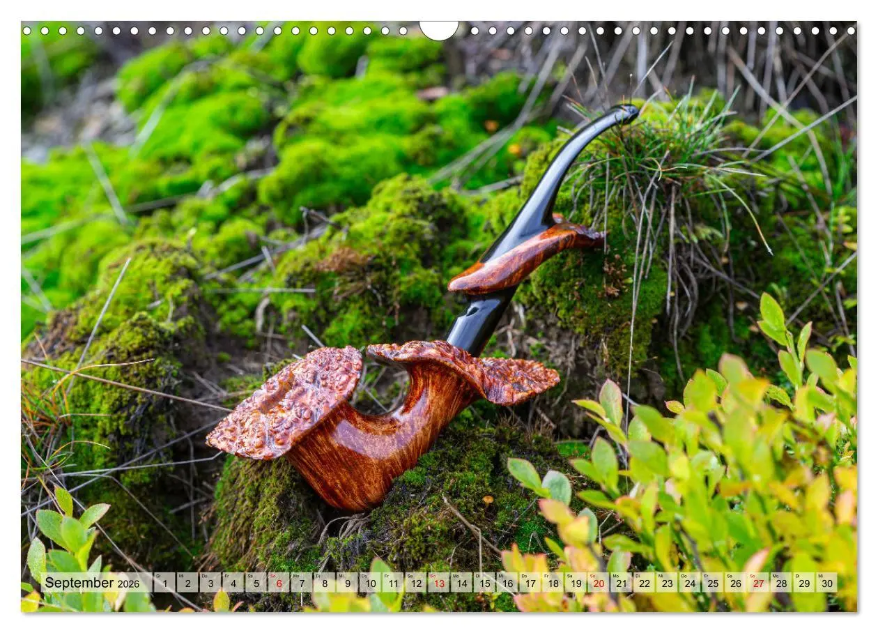 Bild: 9783457475201 | Tabakpfeifenkunst (Wandkalender 2026 DIN A3 quer), CALVENDO...