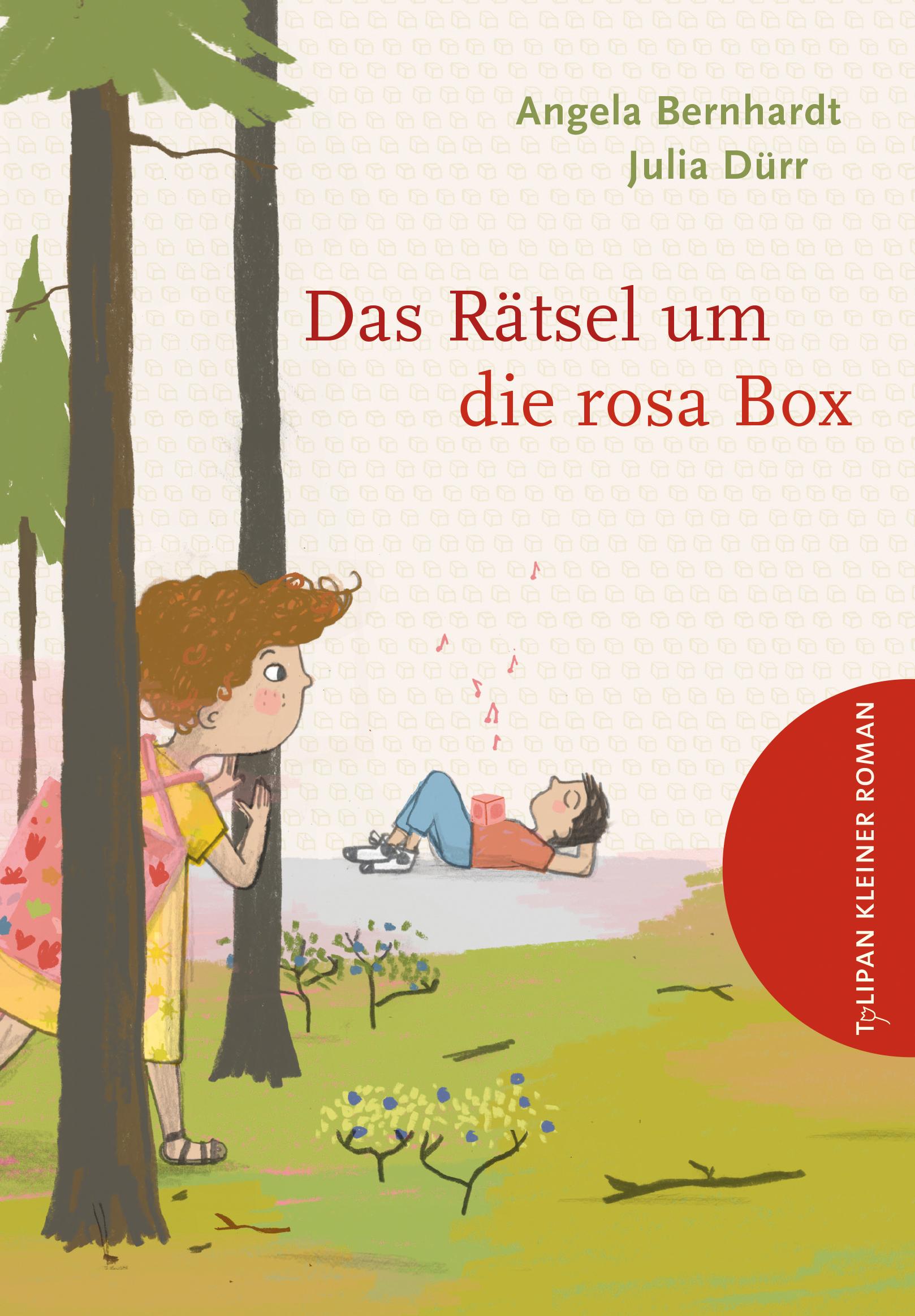 Cover: 9783864295201 | Das Rätsel um die rosa Box | Angela Bernhardt | Buch | 64 S. | Deutsch
