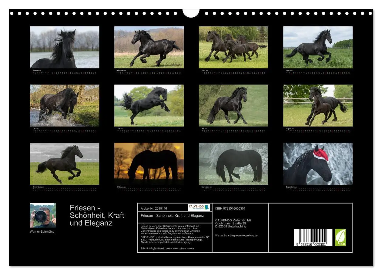 Bild: 9783516005301 | Friesen - Schönheit, Kraft und Eleganz (Wandkalender 2026 DIN A3...