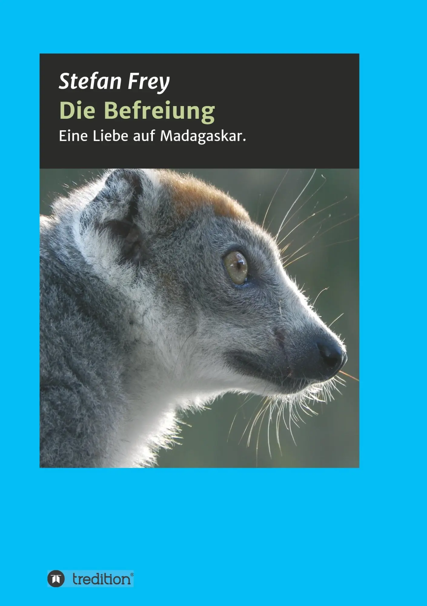 Cover: 9783743955301 | Die Befreiung | Stefan Frey | Taschenbuch | 284 S. | Deutsch | 2017