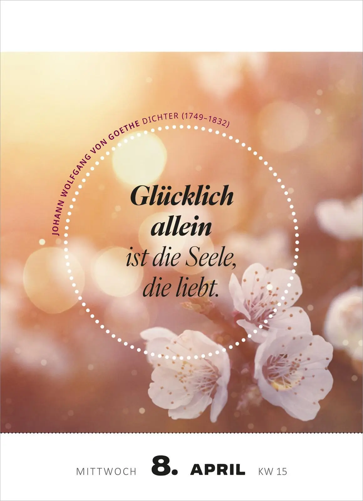 Bild: 4014489135401 | Abreißkalender Glücksmantras 2026 | Kalender | 640 S. | Deutsch | 2026