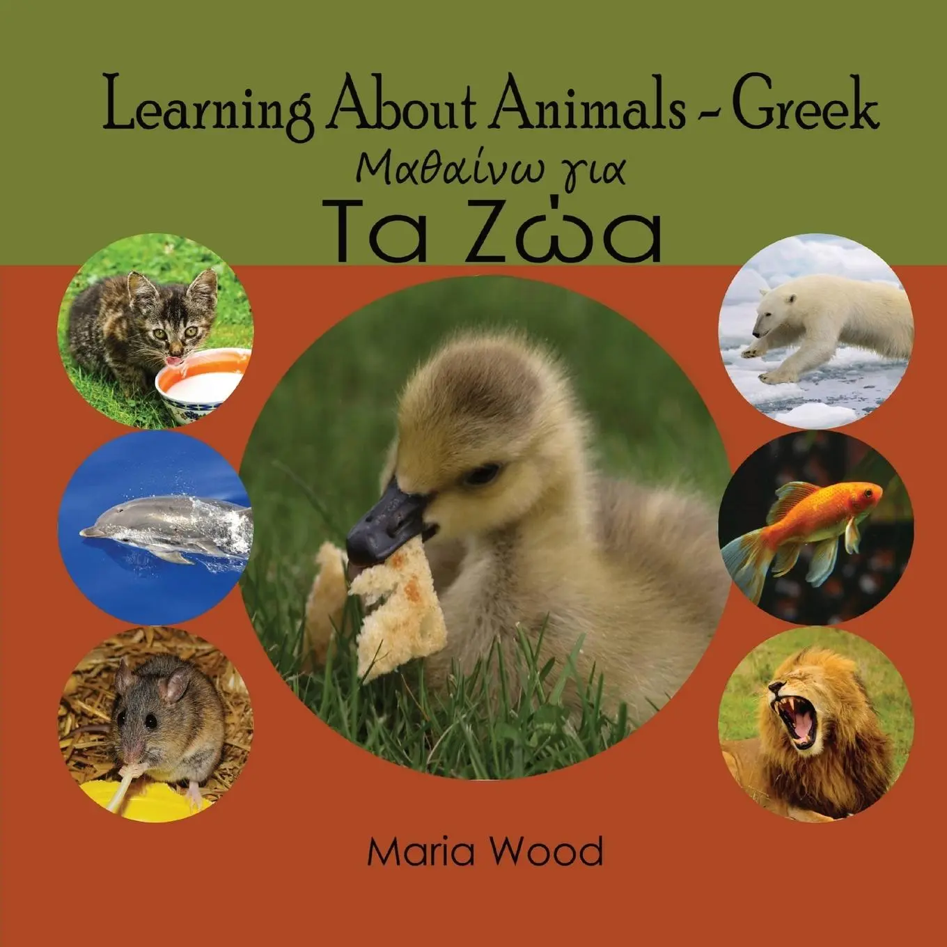 Cover: 9780645545401 | Learning About Animals- Greek | Maria Wood | Taschenbuch | 2022