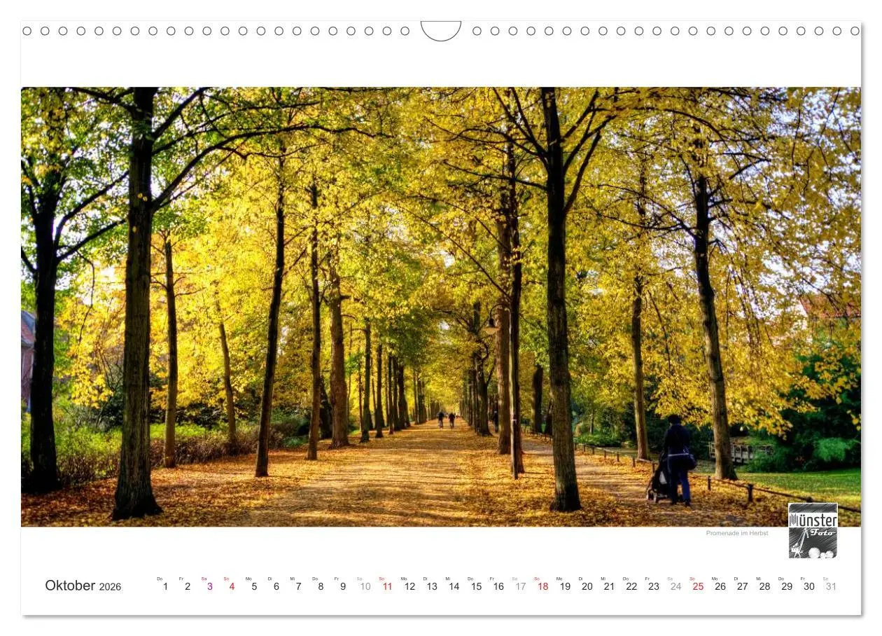 Bild: 9783516165401 | MÜNSTER :: Ansichten einer lebenswerten Stadt (Wandkalender 2026...