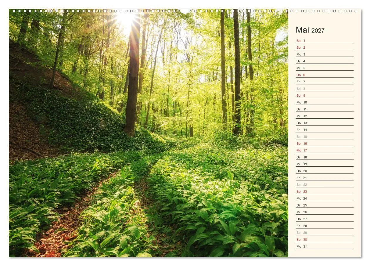 Bild: 9783516785401 | Harzerinnerungen (Wandkalender 2027 DIN A2 quer), CALVENDO...