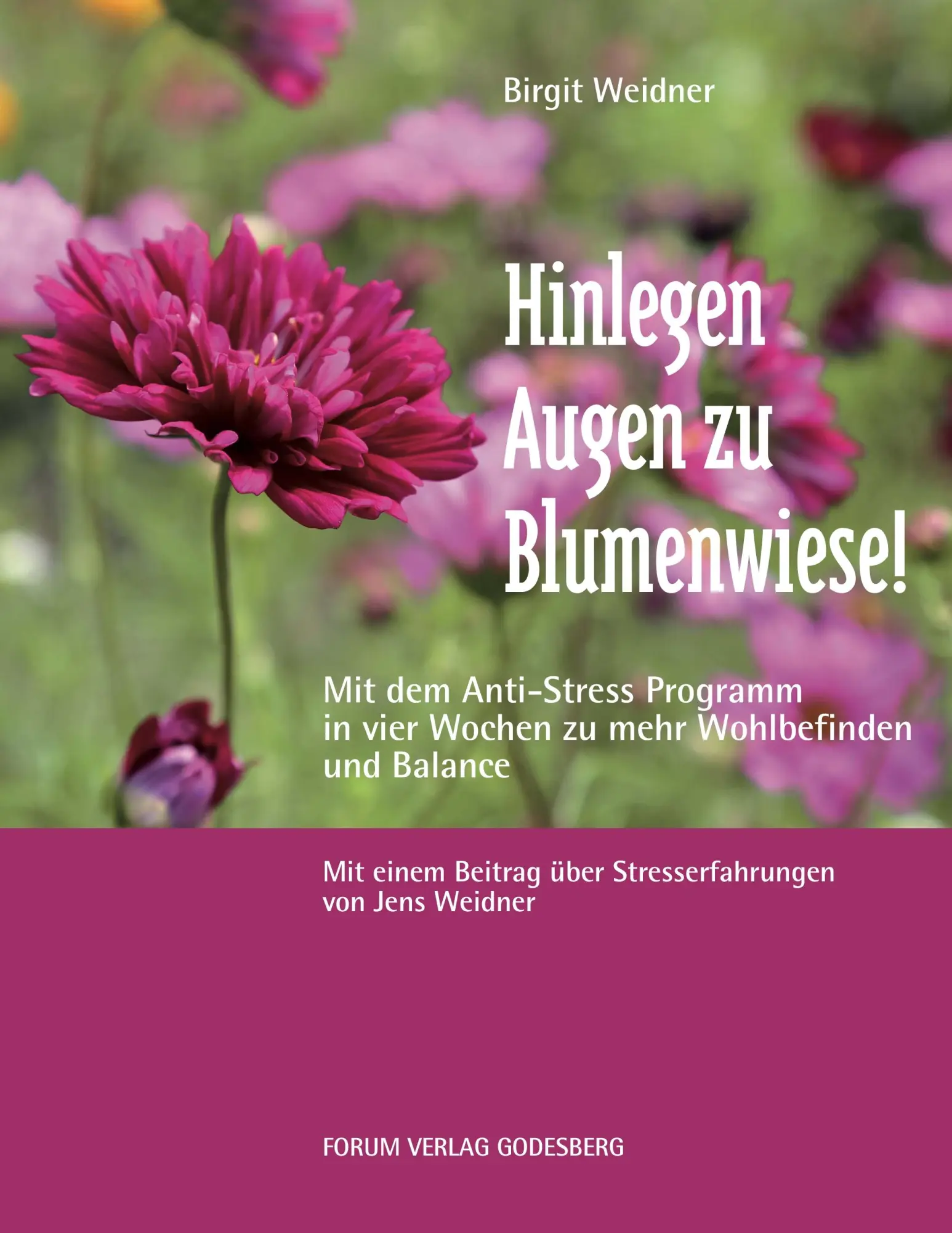 Cover: 9783942865401 | Hinlegen - Augen zu - Blumenwiese | Birgit Weidner | Taschenbuch