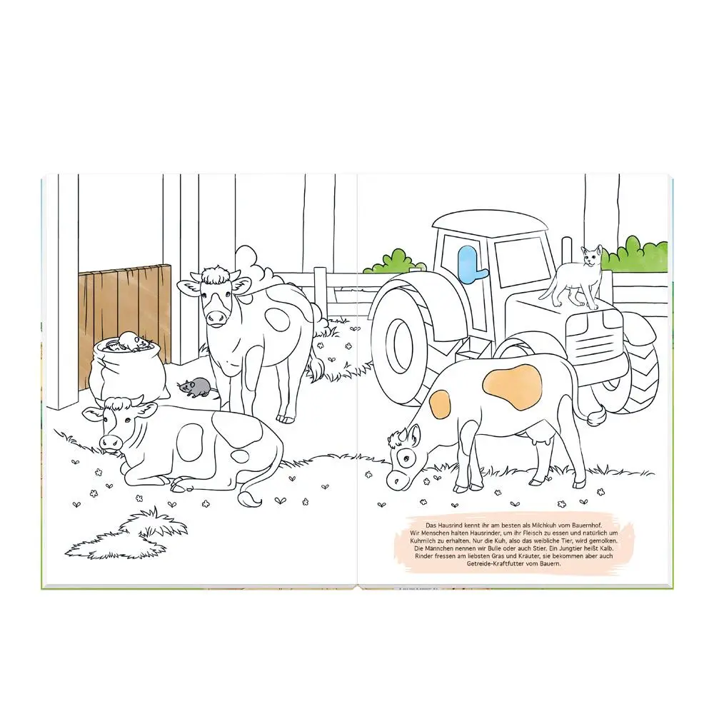 Bild: 9783988025401 | TRÖTSCH - Malbuch Bauernhof Mal- und Spielspaß Malbuch mit...
