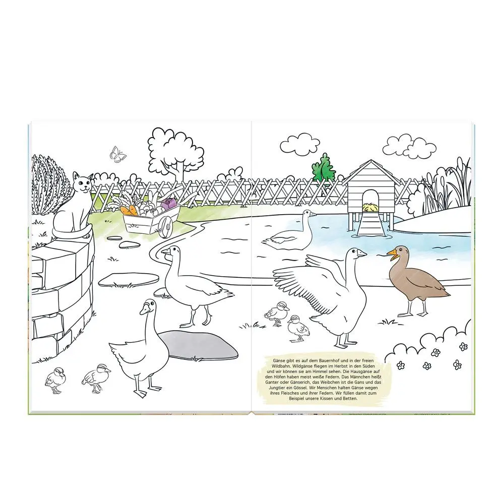 Bild: 9783988025401 | TRÖTSCH - Malbuch Bauernhof Mal- und Spielspaß Malbuch mit...