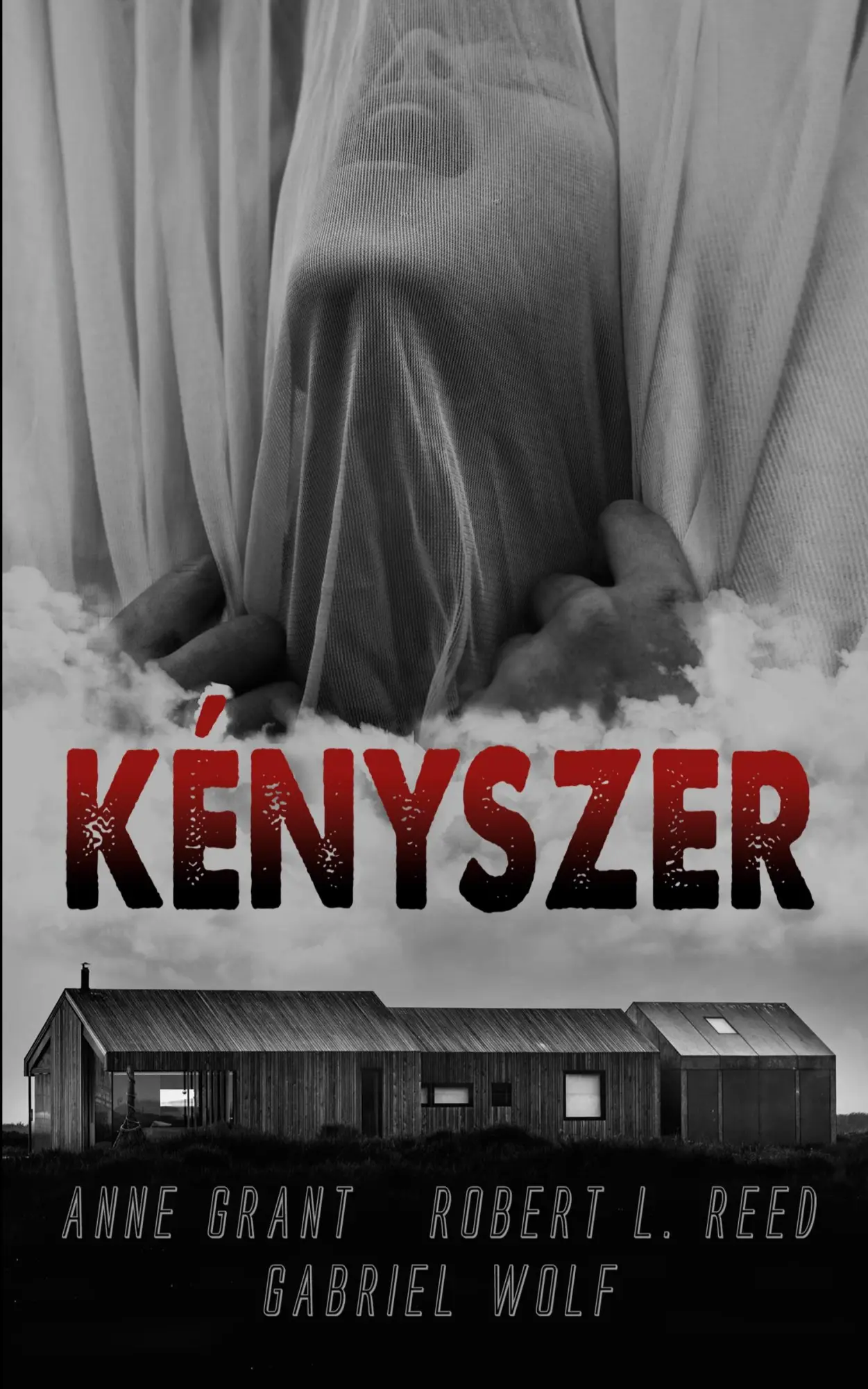 Cover: 9798211935501 | Kényszer | Anne Grant - Gabriel Wolf | Taschenbuch | Ungarisch | 2022