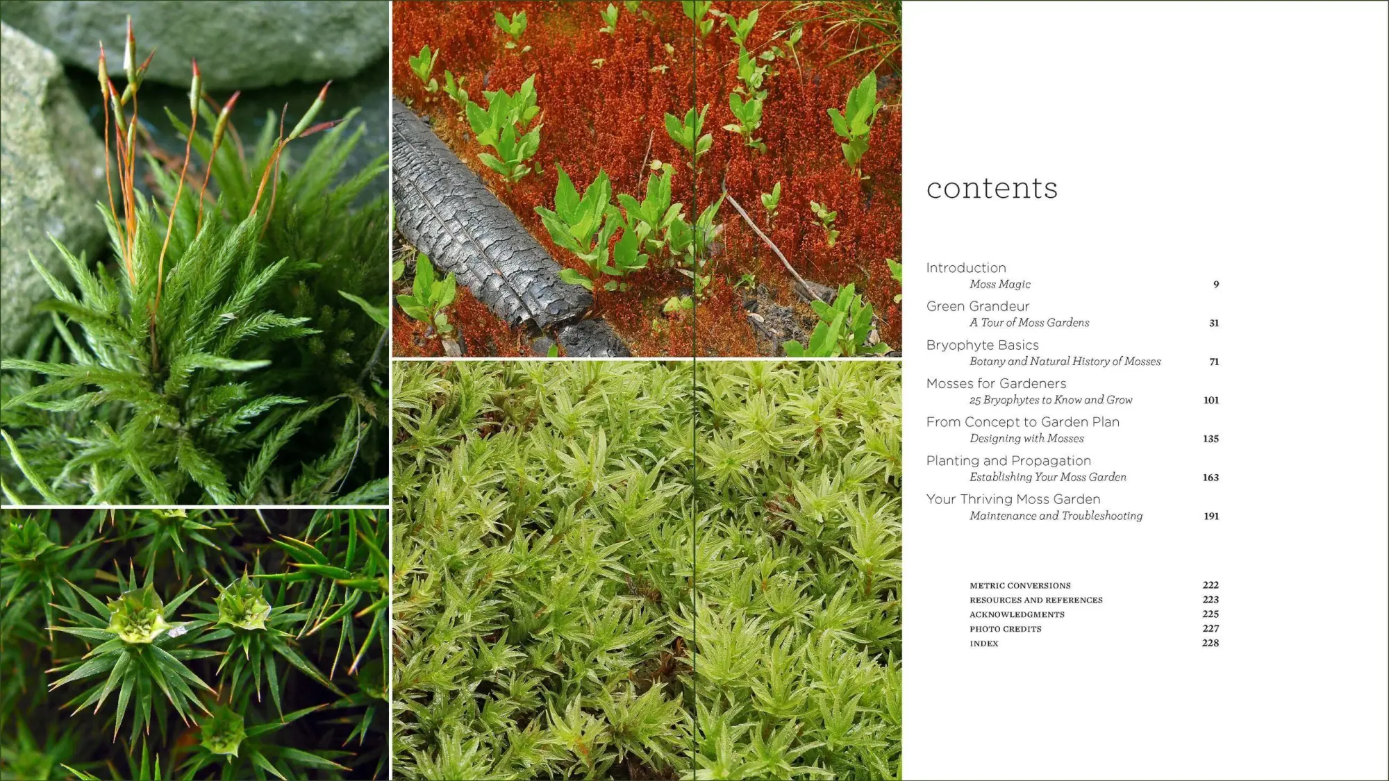 Bild: 9781604695601 | The Magical World of Moss Gardening | Annie Martin | Taschenbuch