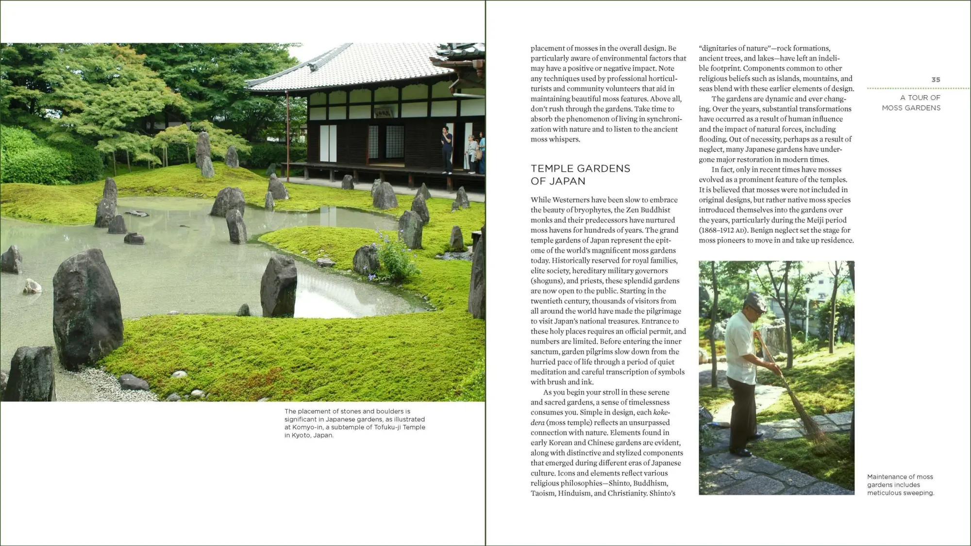 Bild: 9781604695601 | The Magical World of Moss Gardening | Annie Martin | Taschenbuch