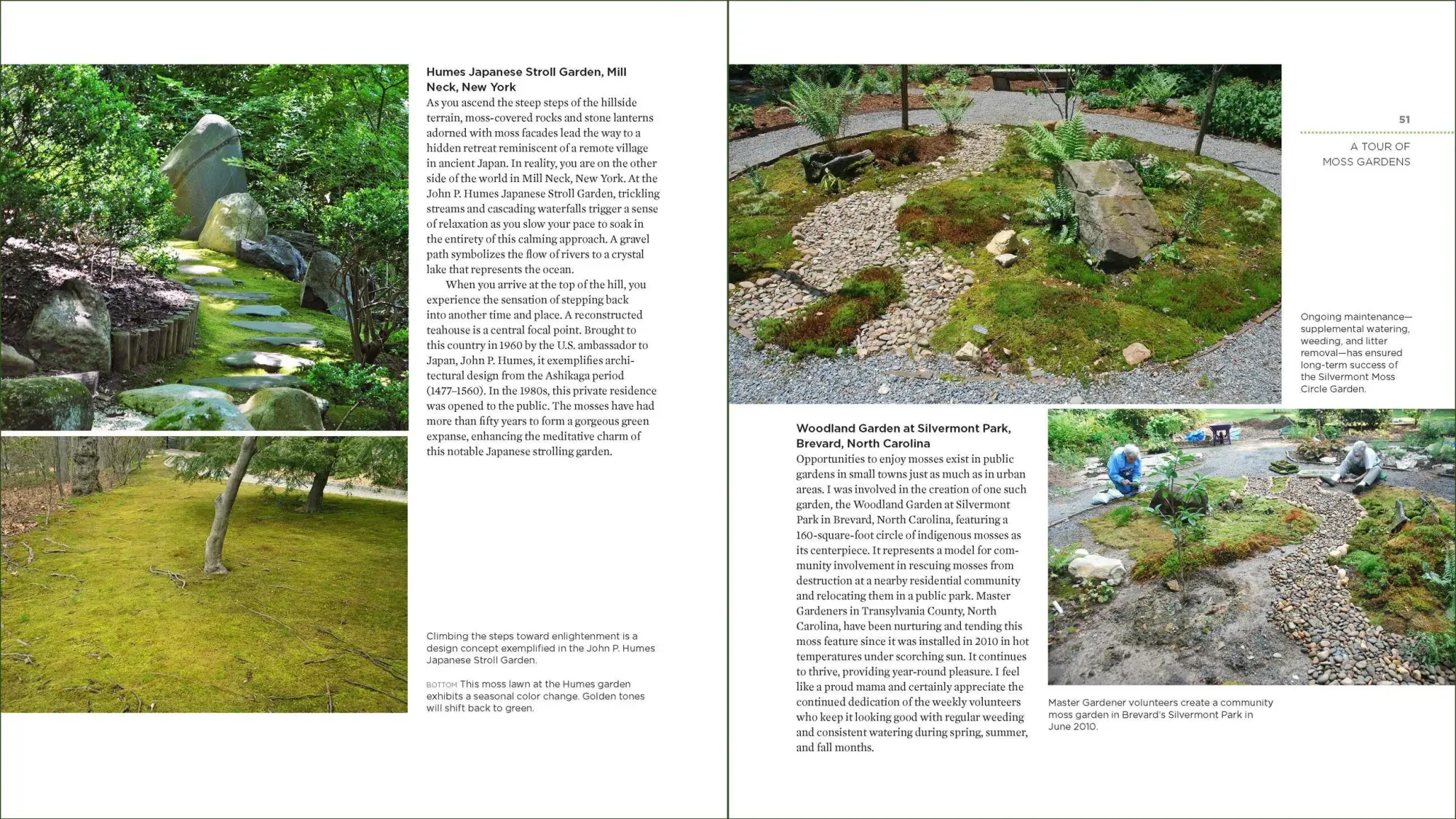 Bild: 9781604695601 | The Magical World of Moss Gardening | Annie Martin | Taschenbuch