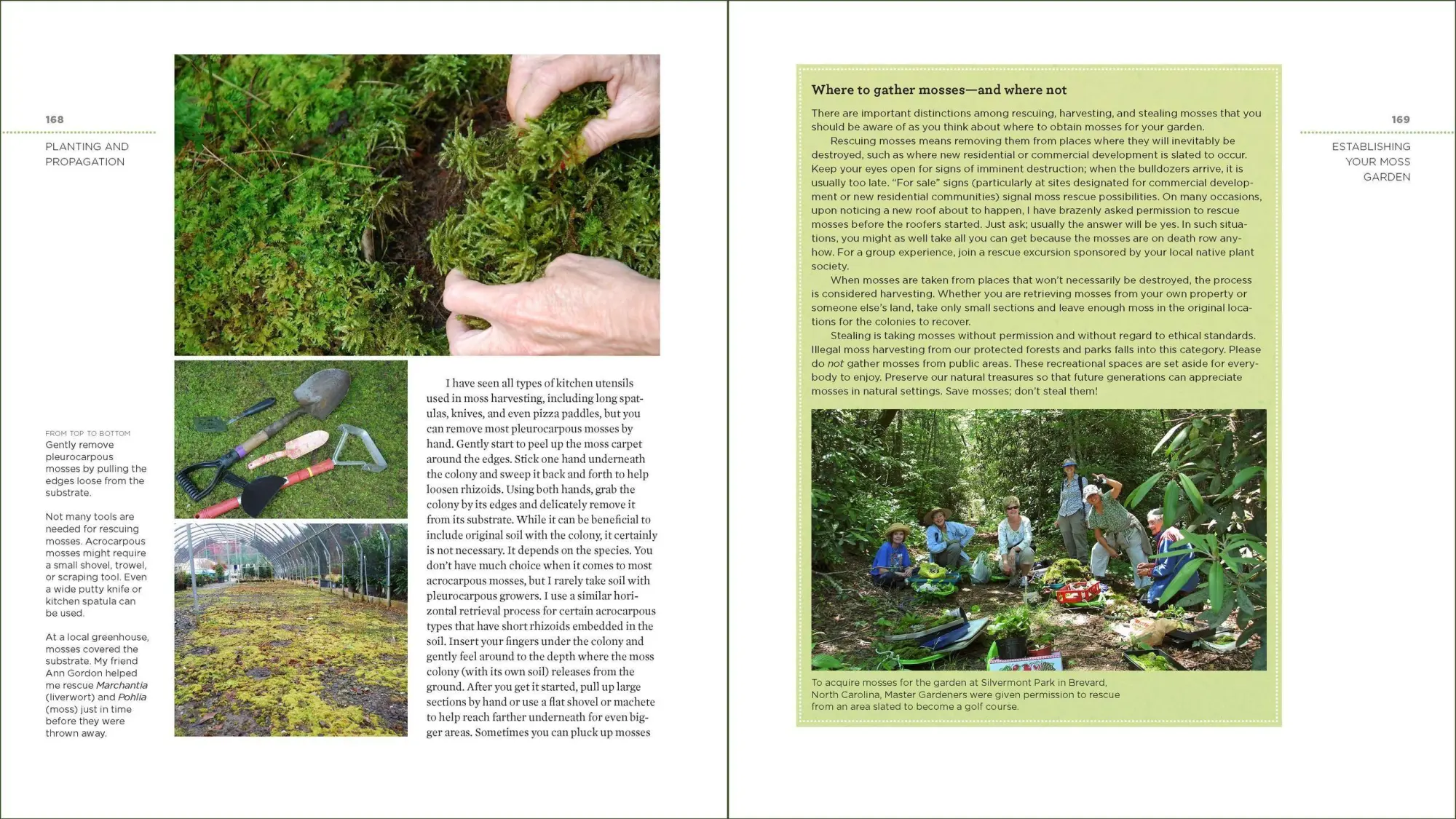 Bild: 9781604695601 | The Magical World of Moss Gardening | Annie Martin | Taschenbuch