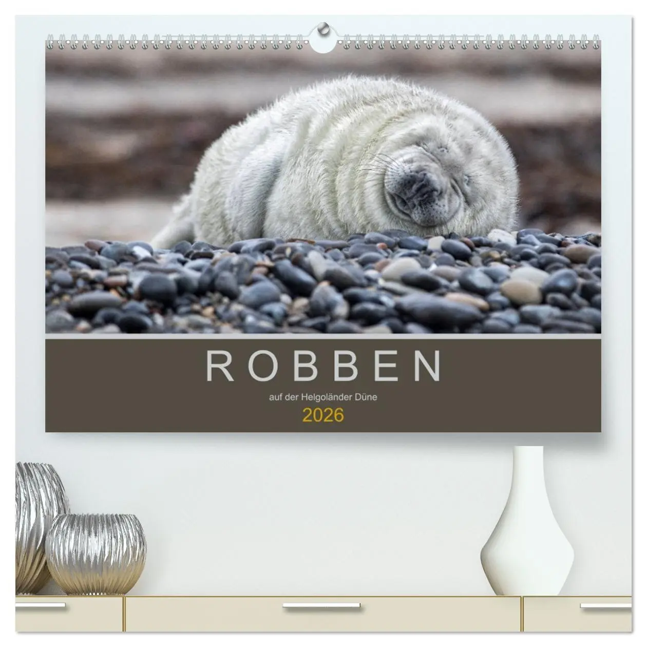 Cover: 9783457745601 | Robben auf der Helgoländer Düne (hochwertiger Premium Wandkalender...