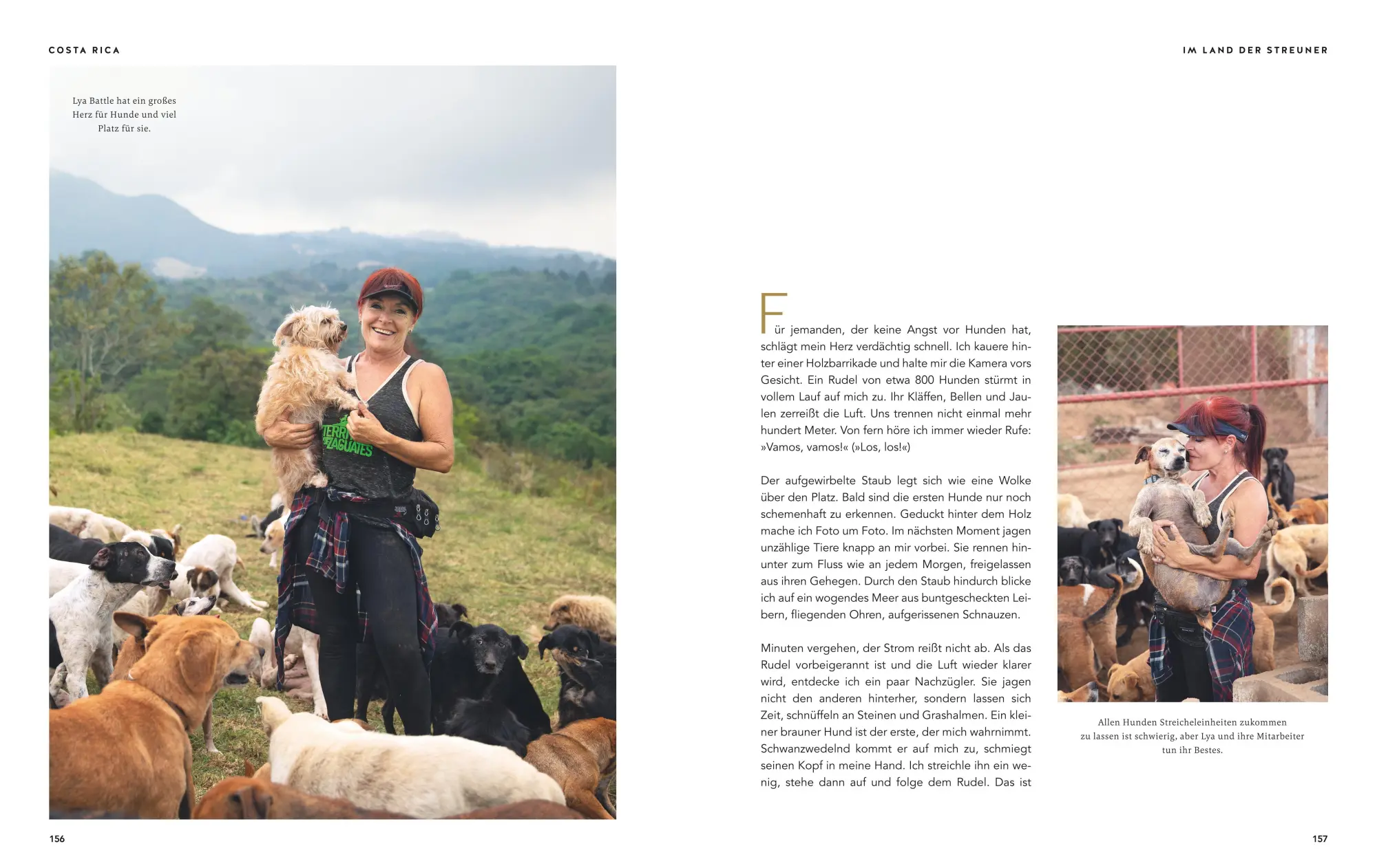 Bild: 9783833875601 | Gefährte Hund | Katharina Jakob | Buch | GU Haus &amp; Garten Tier-spezial