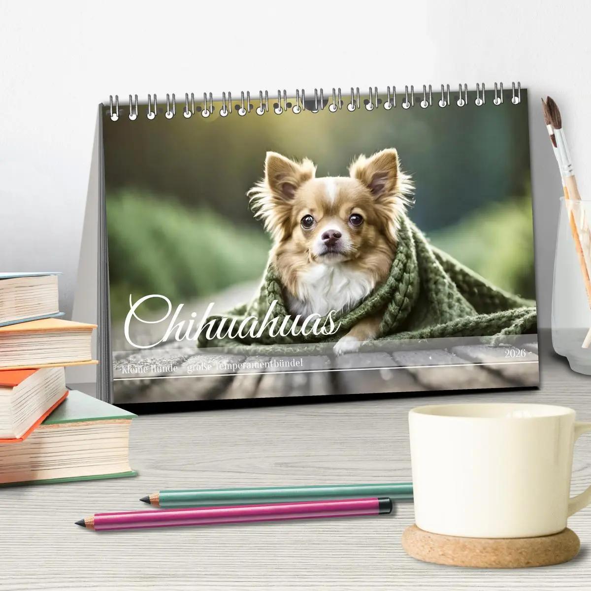 Bild: 9783457425701 | Chihuahuas - Kleine Hunde - große Temperamentbündel (Tischkalender...