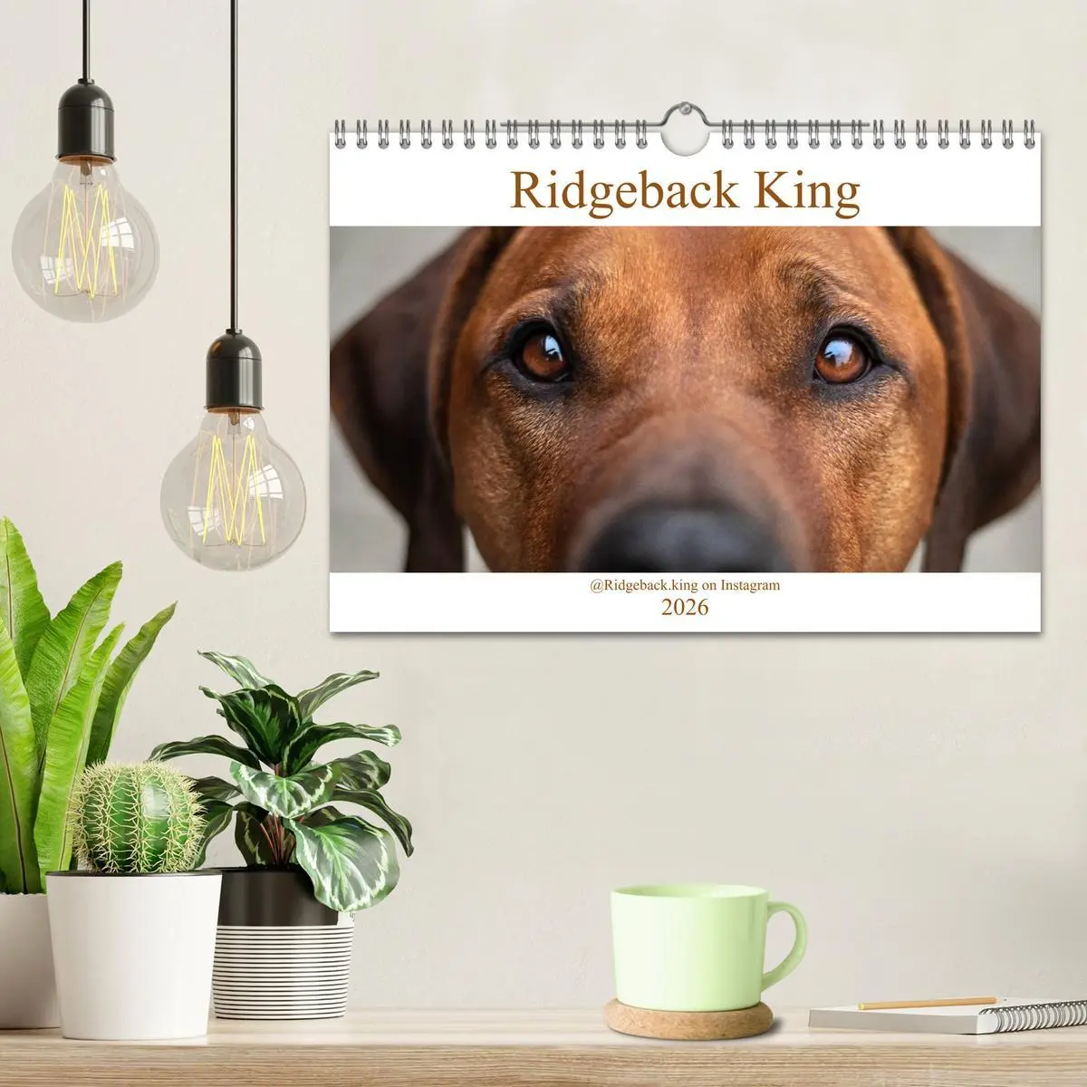 Bild: 9783457805701 | Ridgeback King (Wandkalender 2026 DIN A4 quer), CALVENDO...