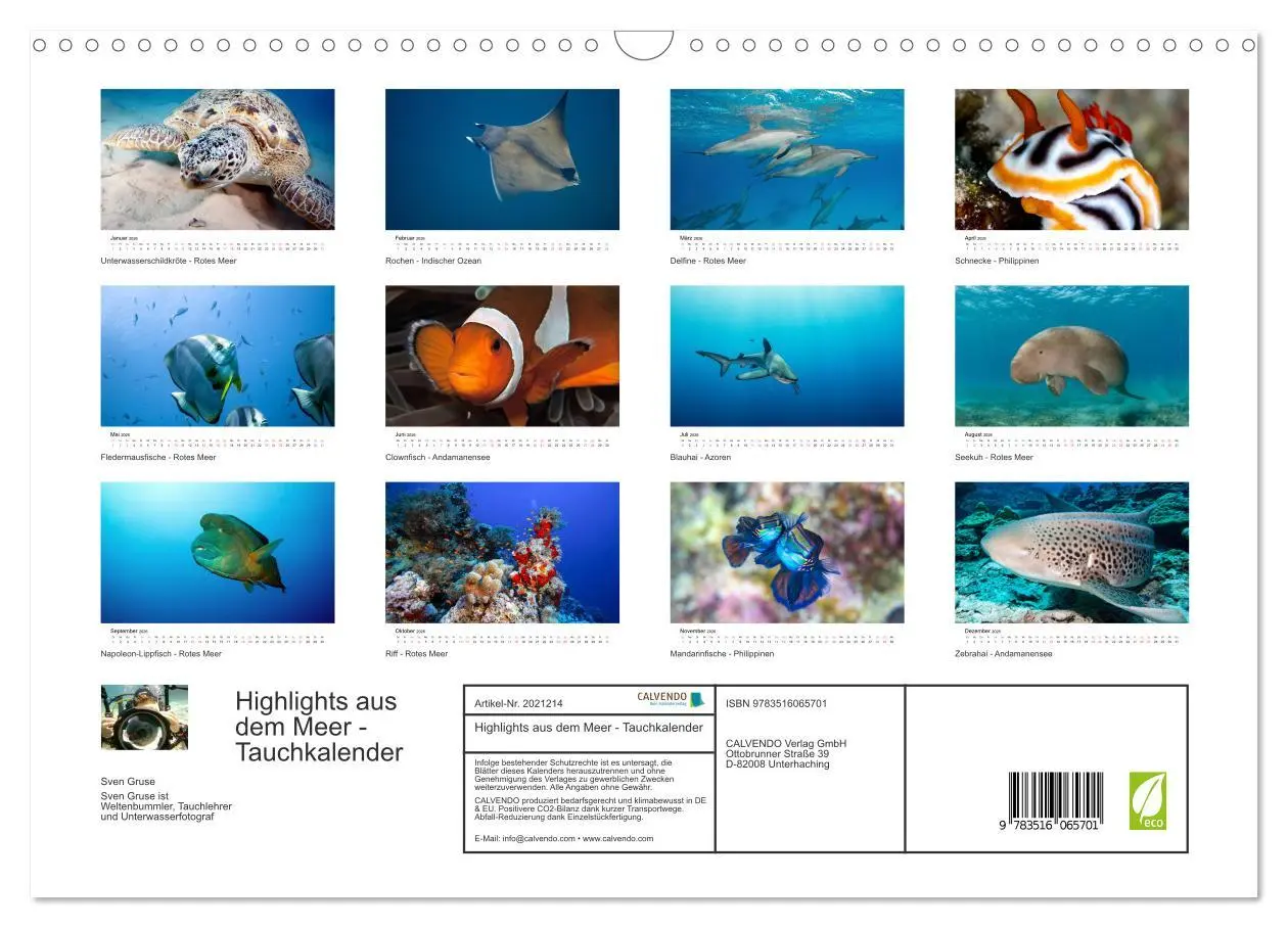 Bild: 9783516065701 | Highlights aus dem Meer - Tauchkalender (Wandkalender 2026 DIN A3...