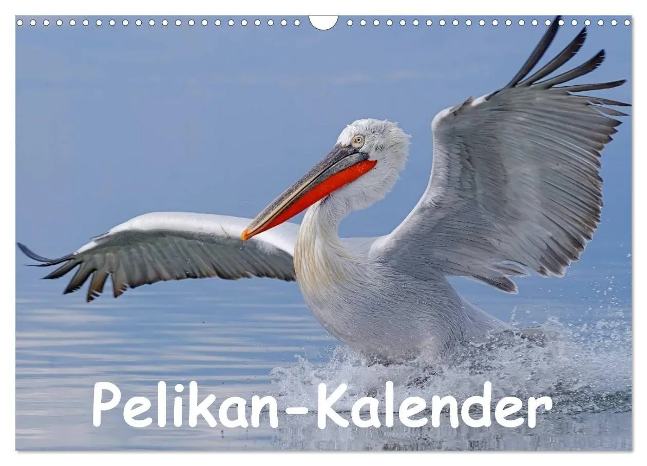 Cover: 9783594115701 | Pelikan-Kalender (Wandkalender 2027 DIN A3 quer), CALVENDO...