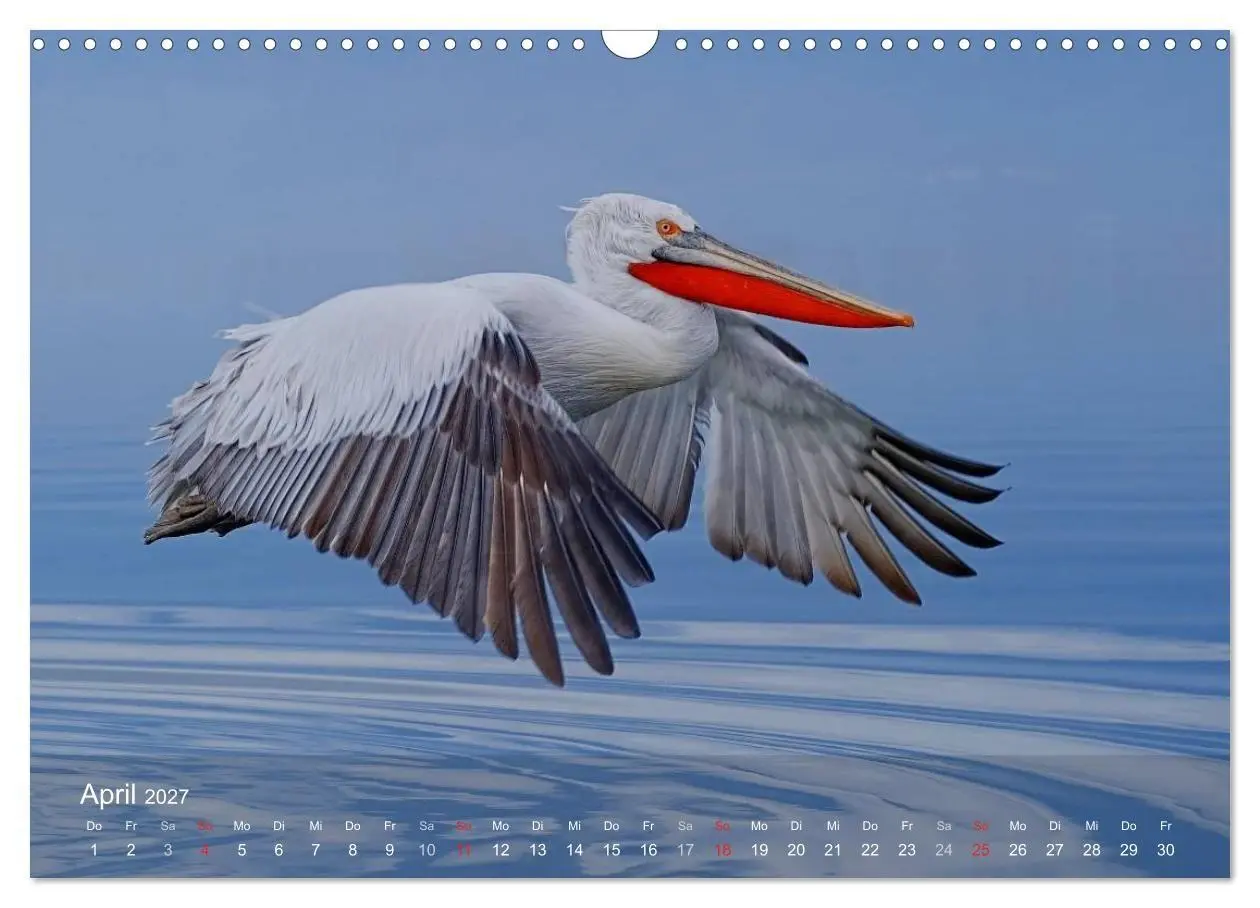 Bild: 9783594115701 | Pelikan-Kalender (Wandkalender 2027 DIN A3 quer), CALVENDO...