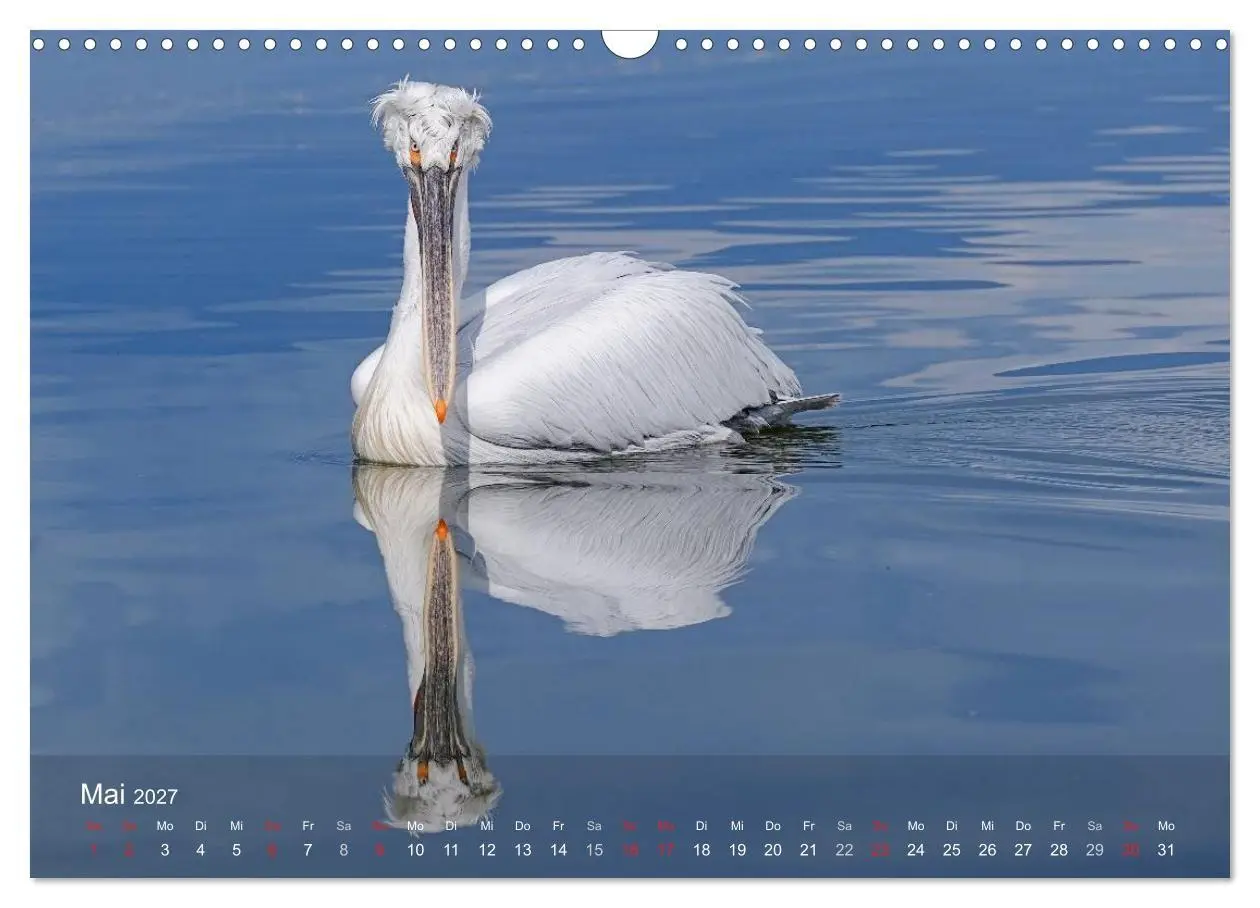 Bild: 9783594115701 | Pelikan-Kalender (Wandkalender 2027 DIN A3 quer), CALVENDO...