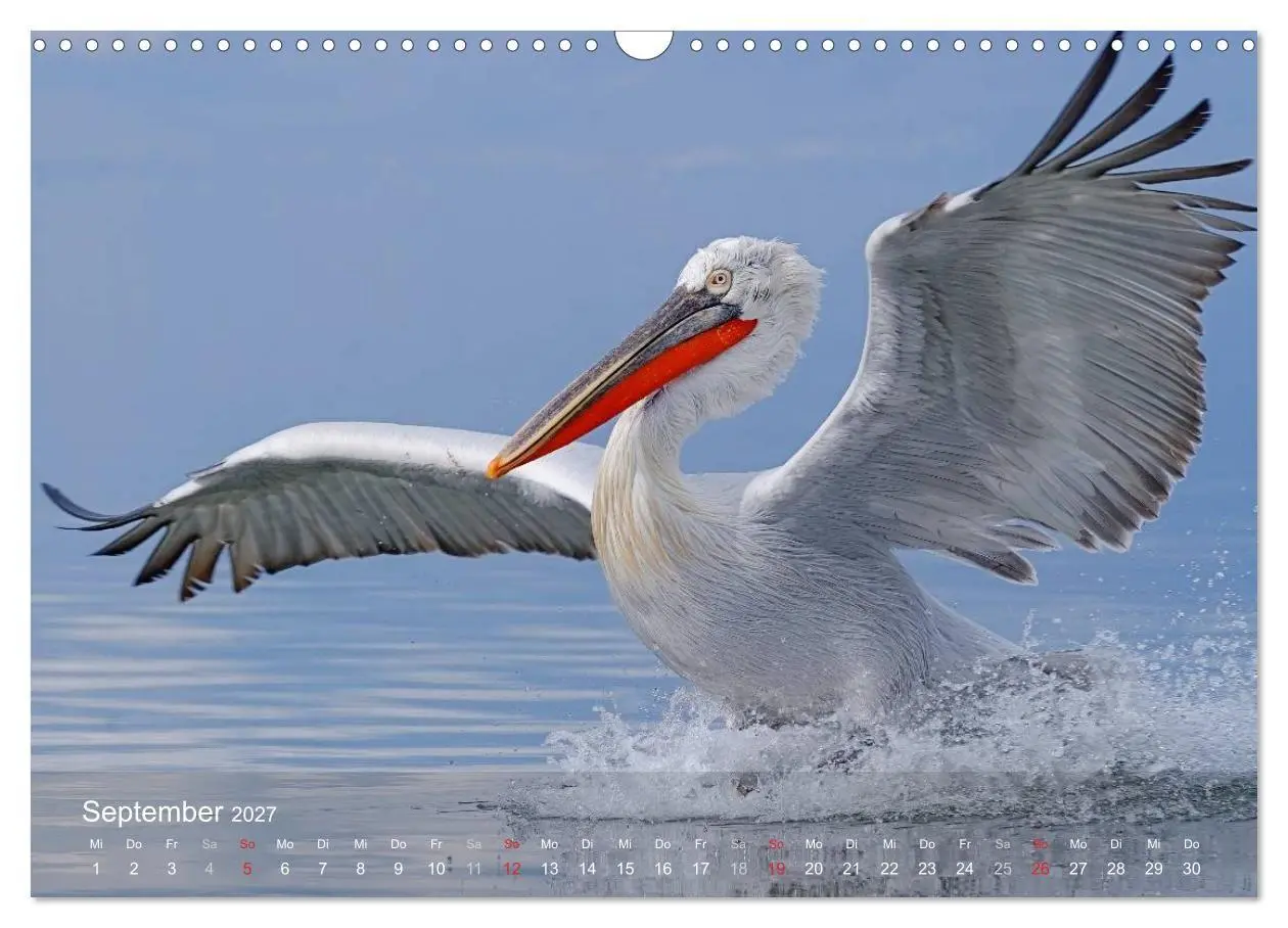 Bild: 9783594115701 | Pelikan-Kalender (Wandkalender 2027 DIN A3 quer), CALVENDO...